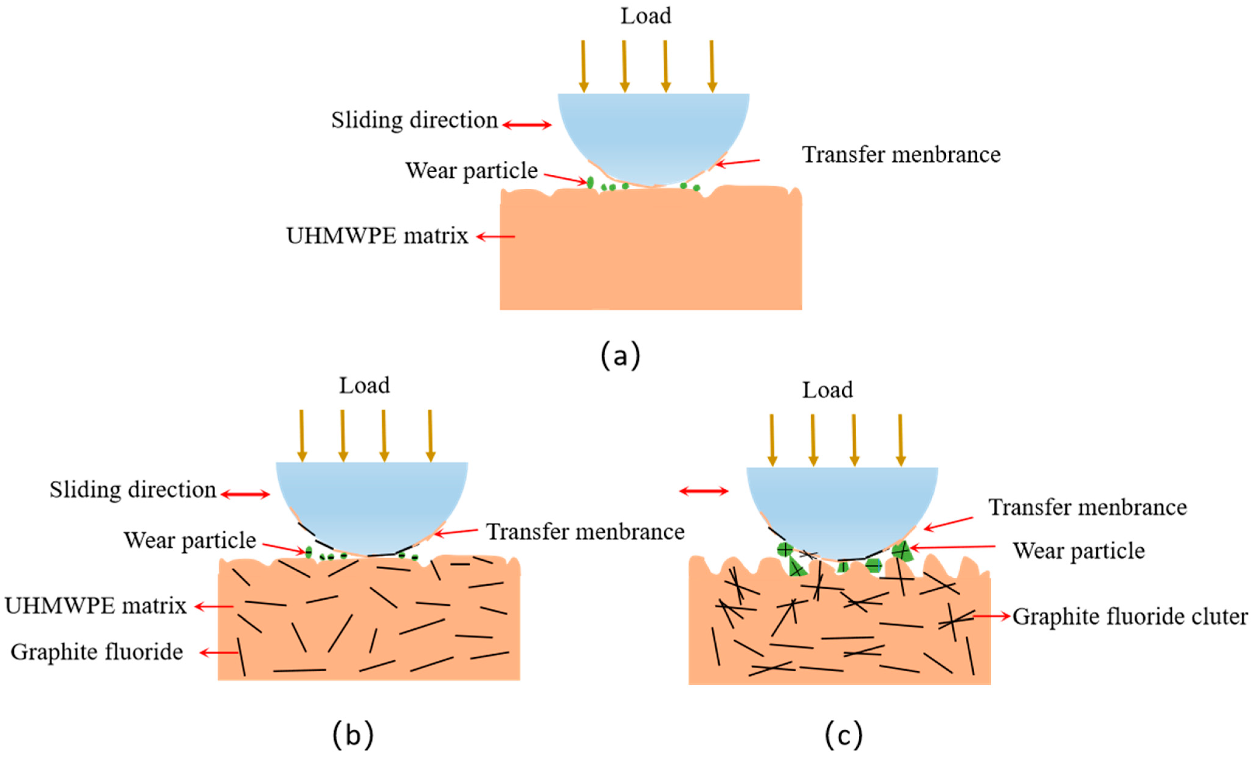 Lubricants 11 00403 g013