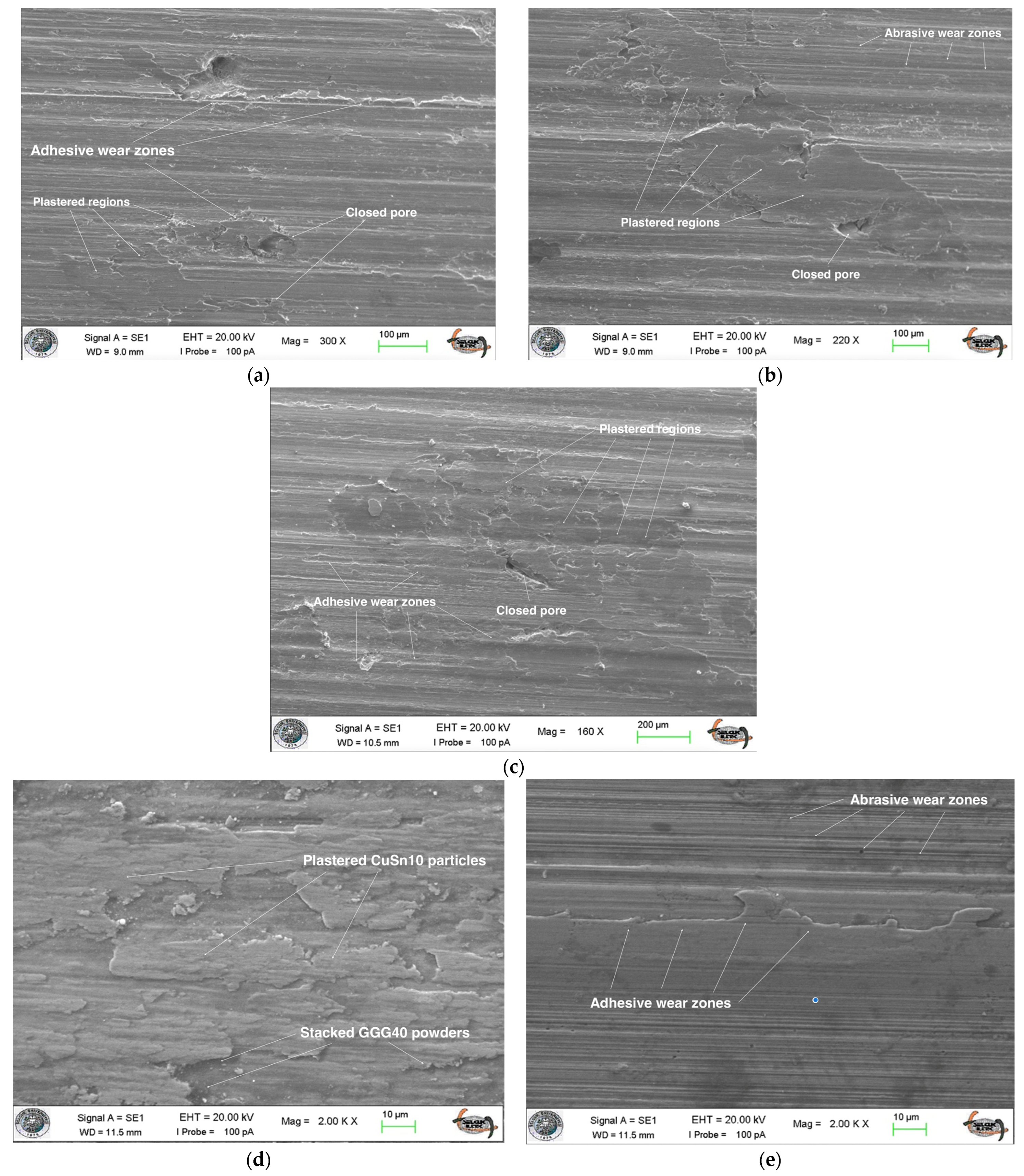 Lubricants 11 00407 g005
