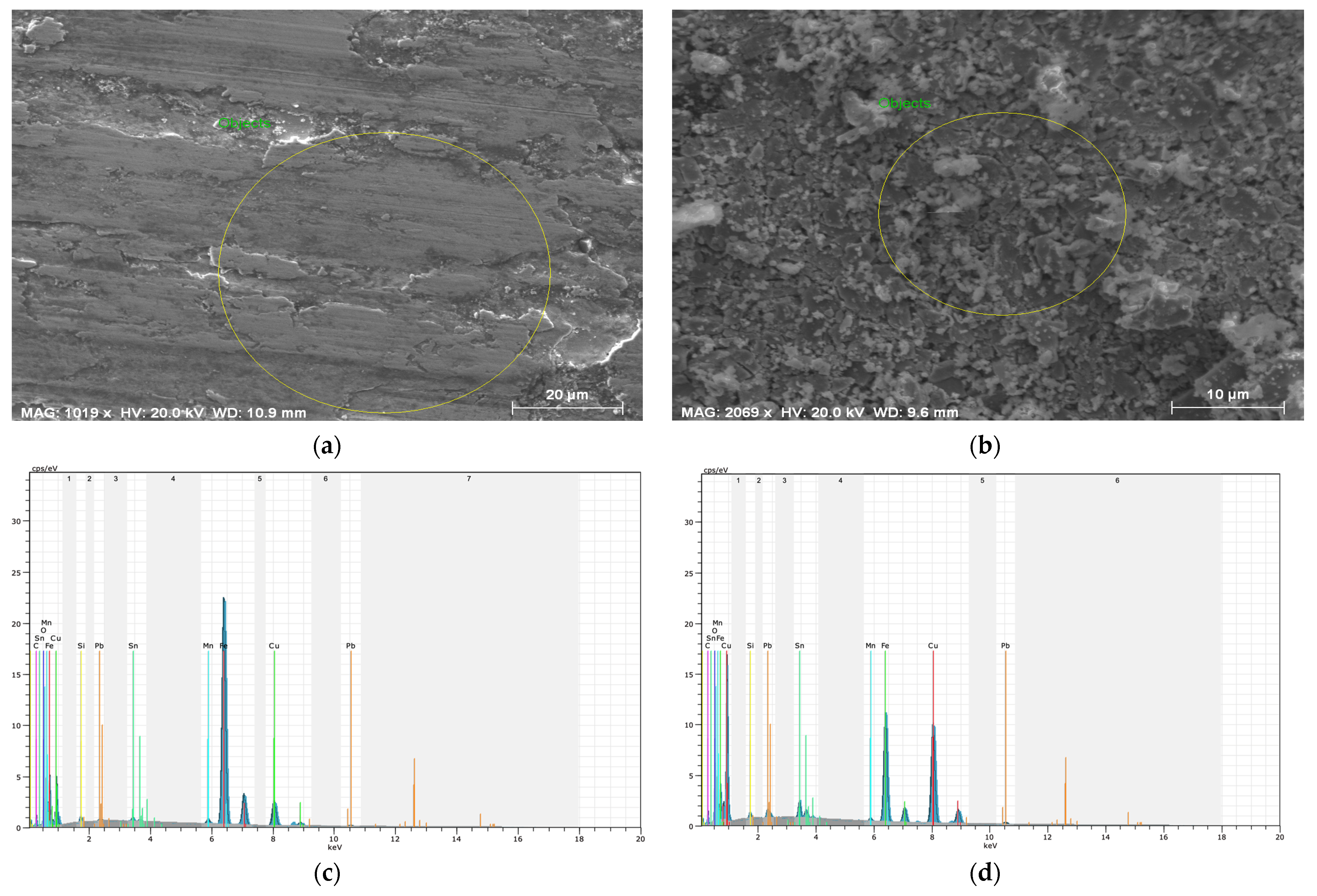 Lubricants 11 00407 g006