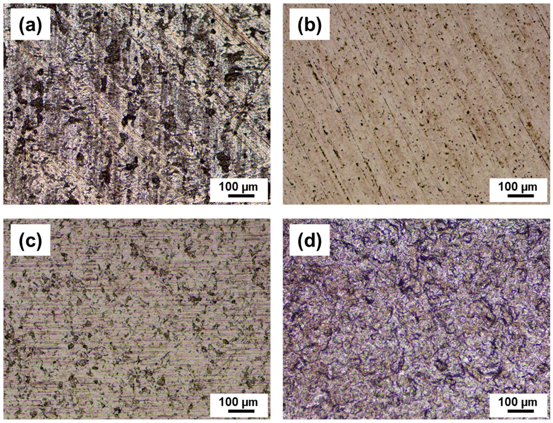 Lubricants 11 00411 g003