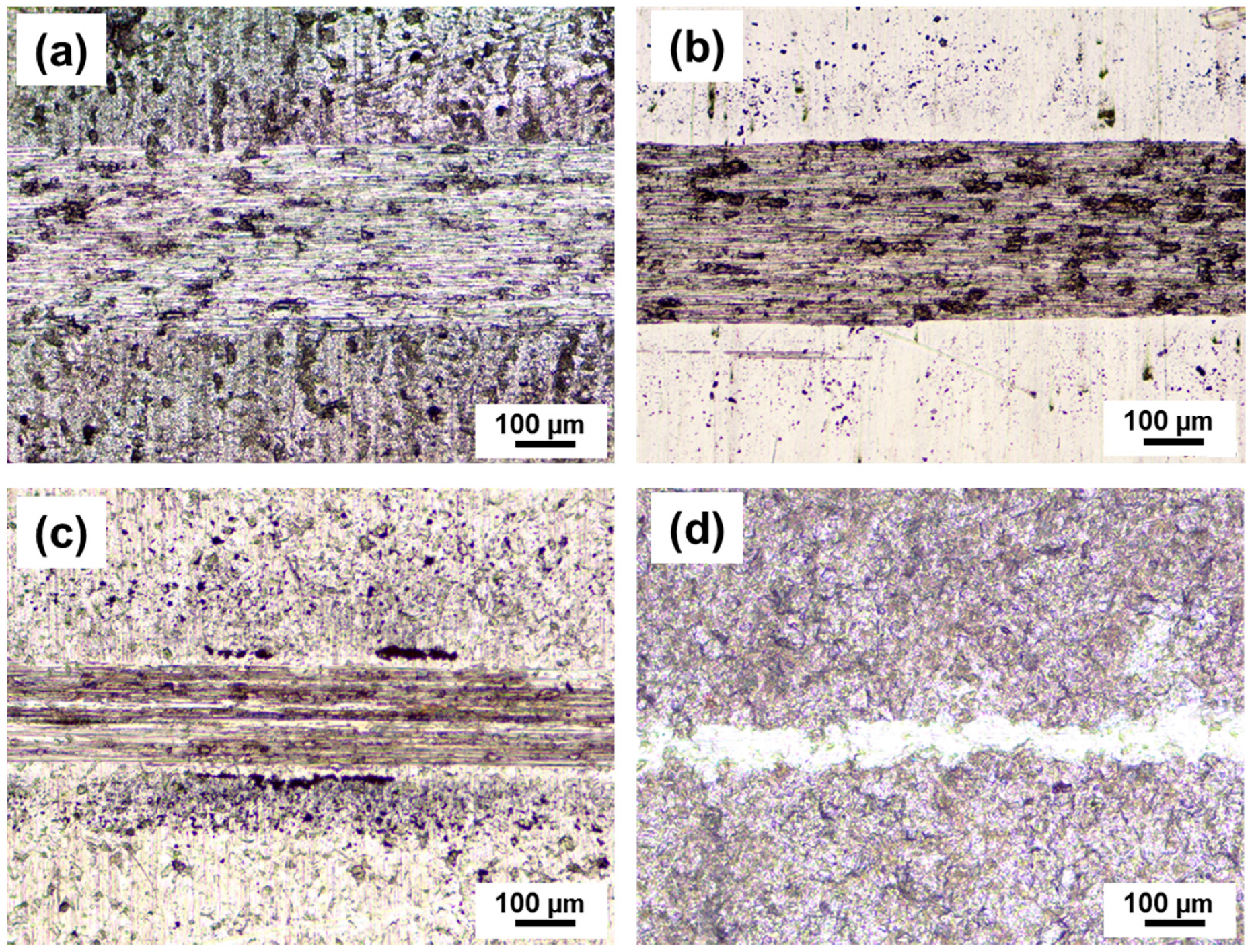 Lubricants 11 00411 g007
