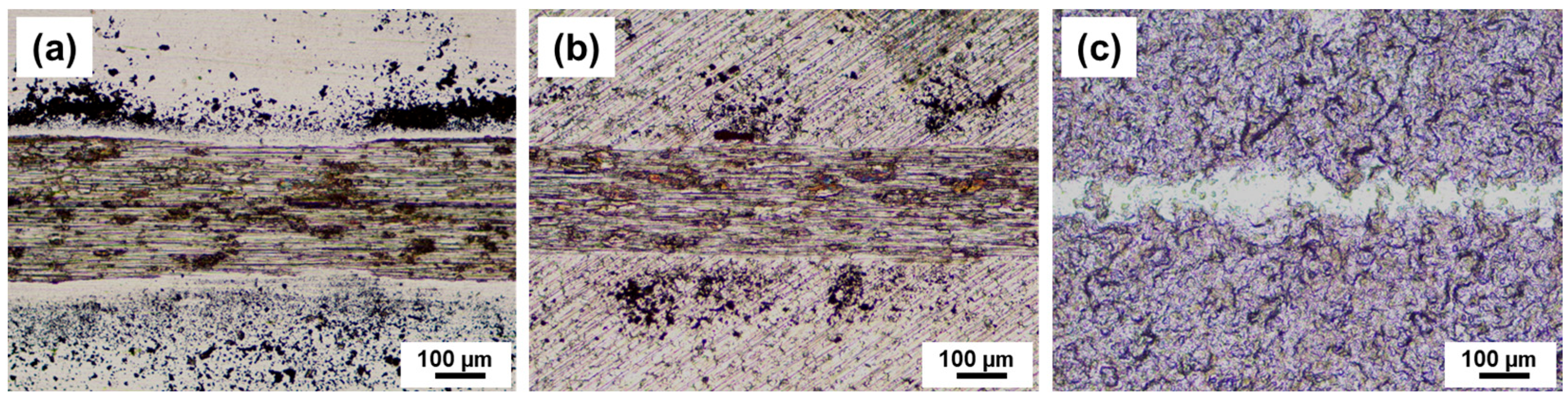 Lubricants 11 00411 g011