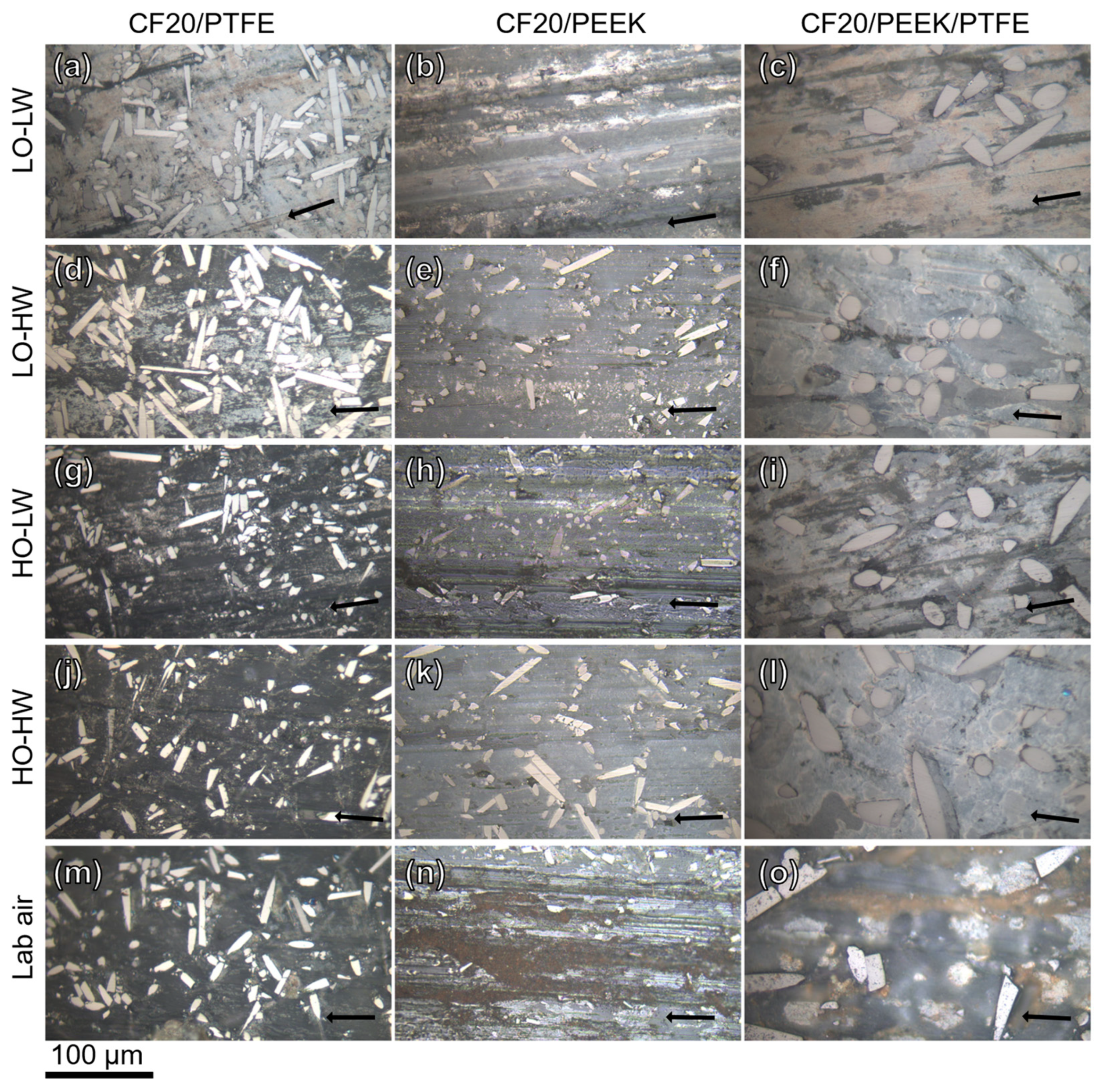 Lubricants 11 00412 g007