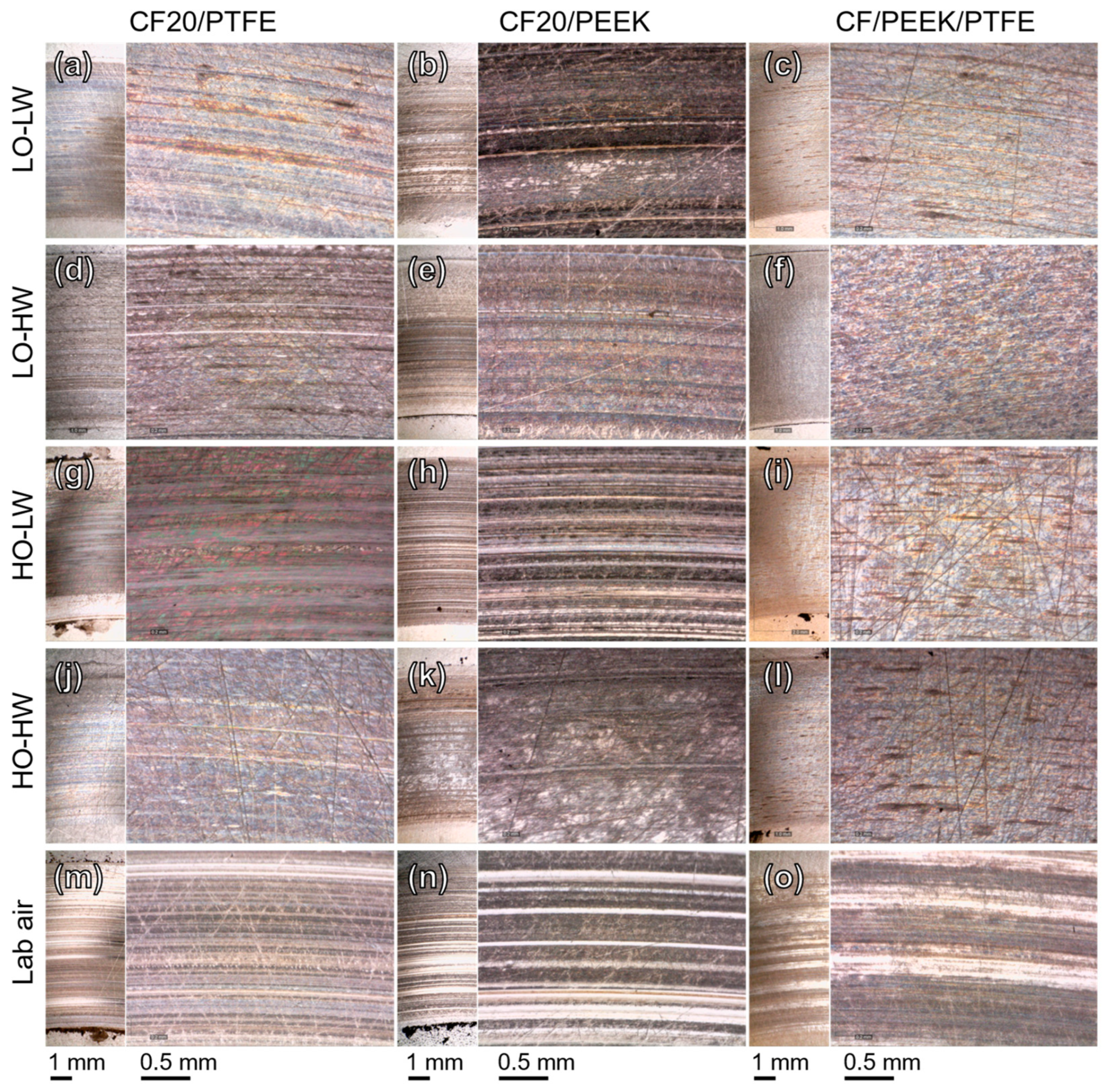 Lubricants 11 00412 g008
