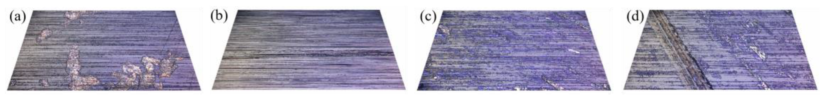 Lubricants 11 00416 g007