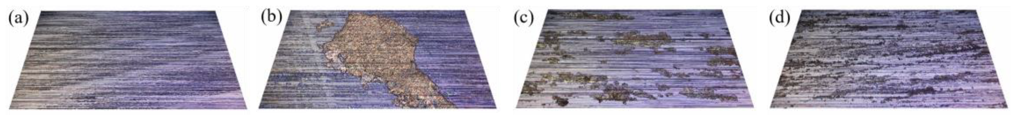 Lubricants 11 00416 g008