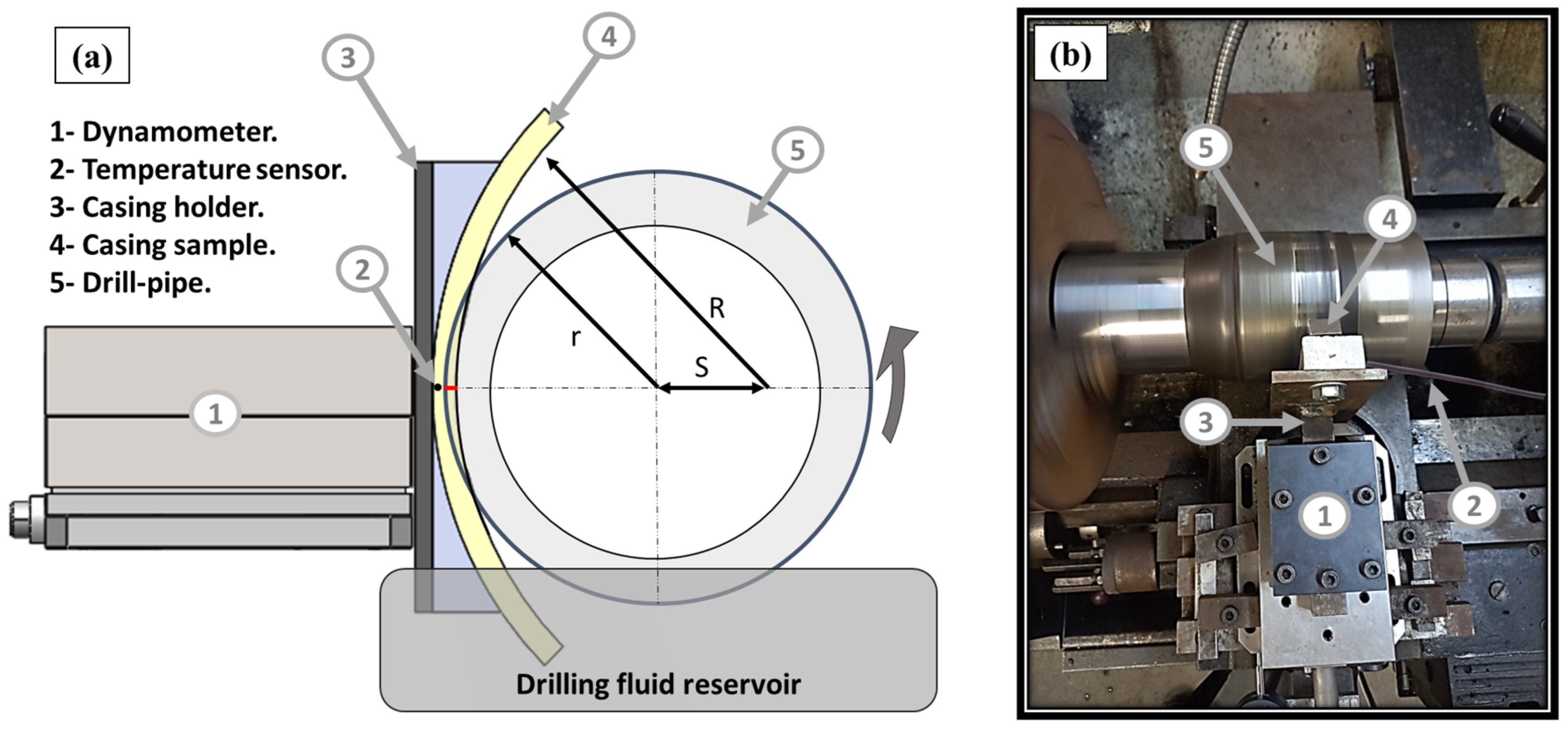 Lubricants 11 00420 g001