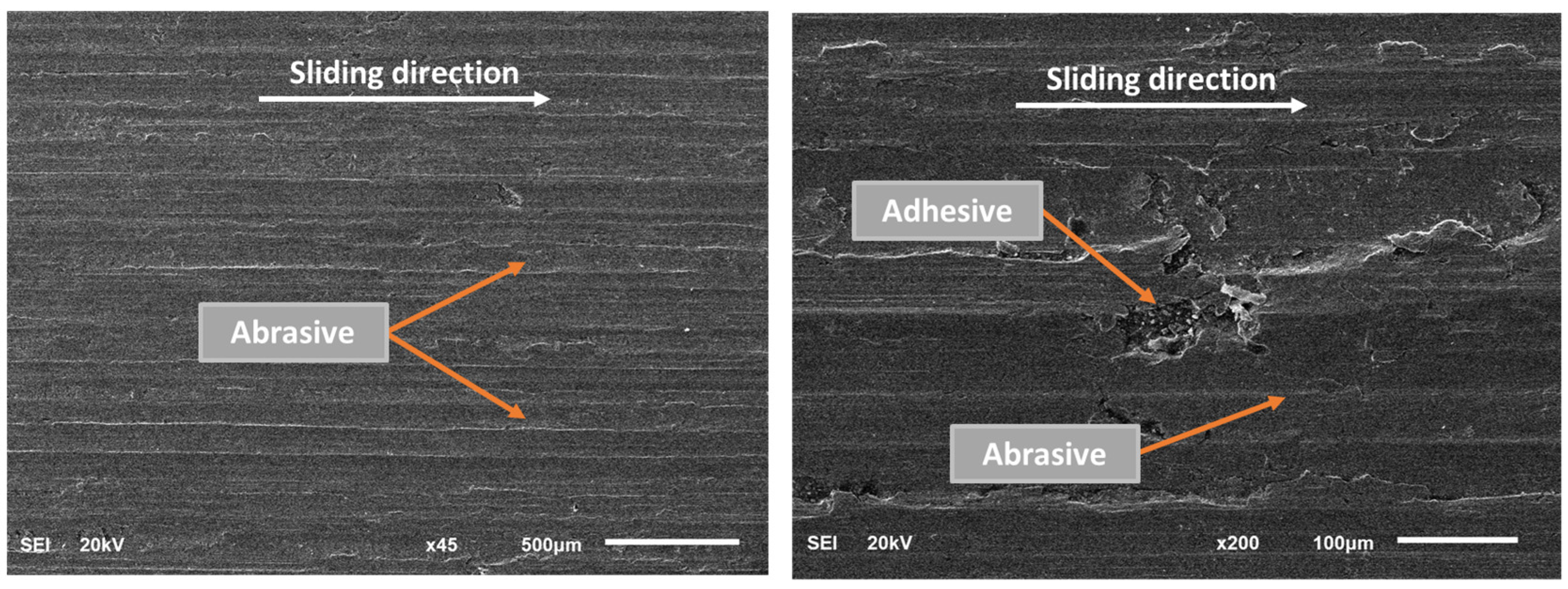 Lubricants 11 00420 g013