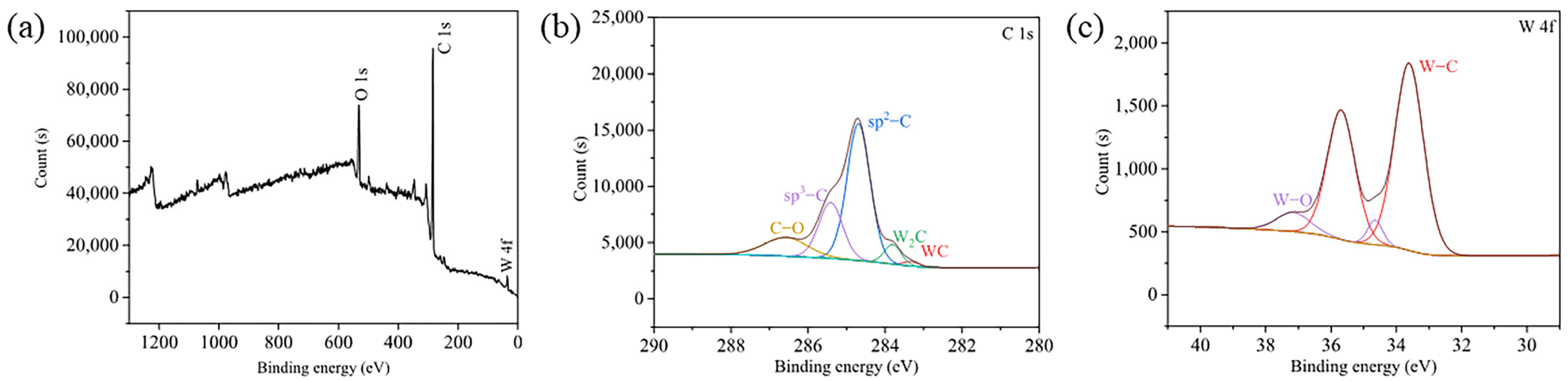 Lubricants 11 00433 g003
