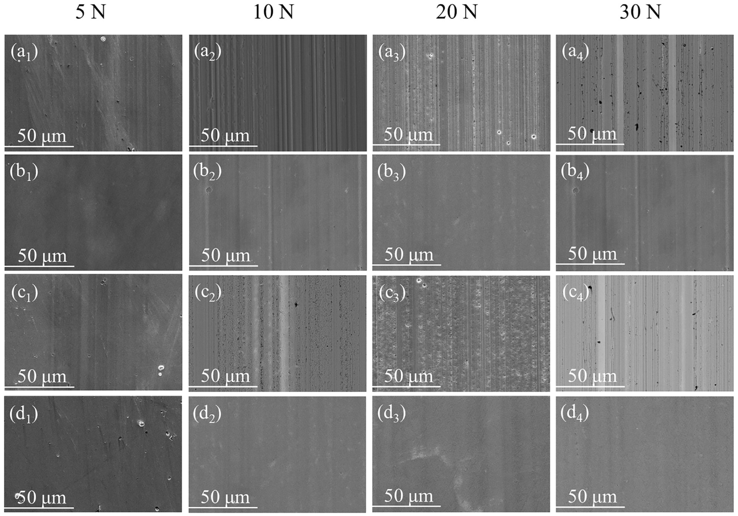 Lubricants 11 00433 g008