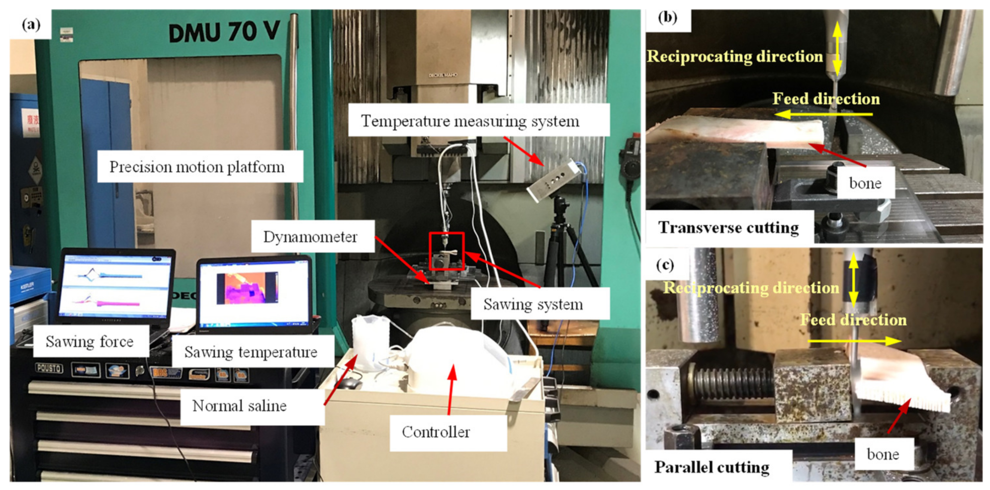 Lubricants 11 00441 g001