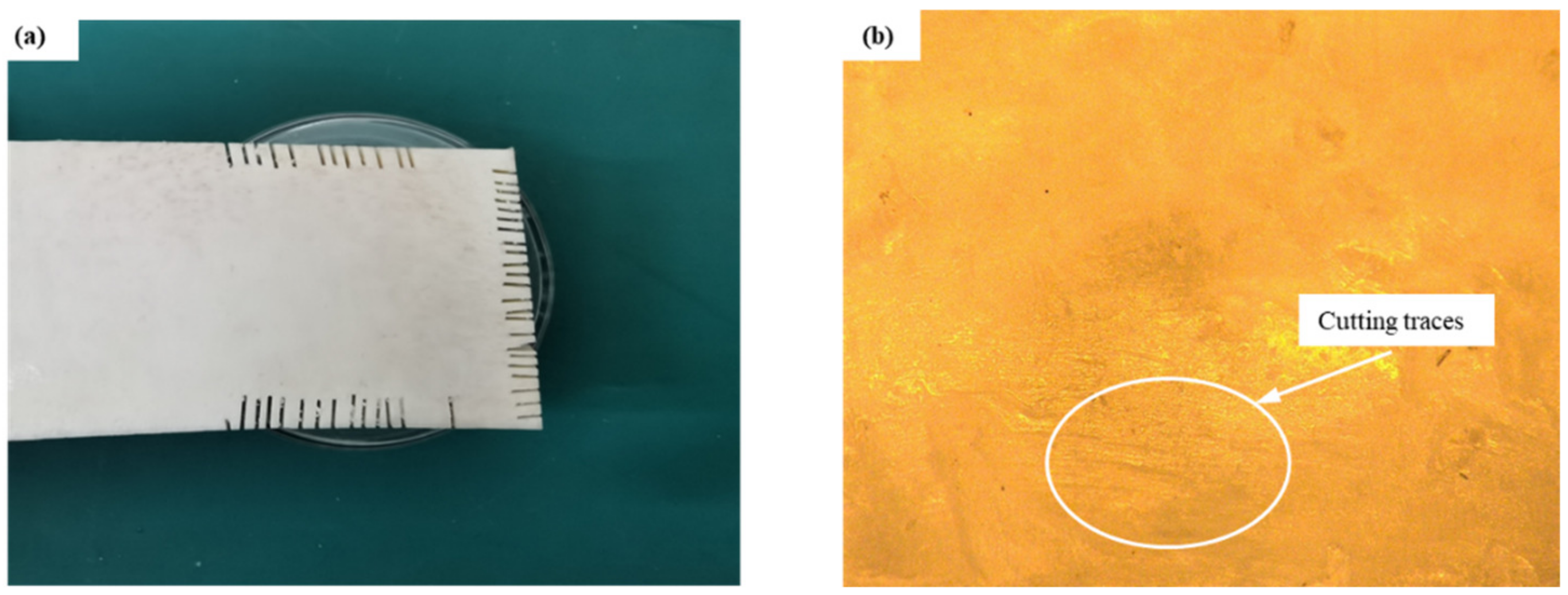 Lubricants 11 00441 g005