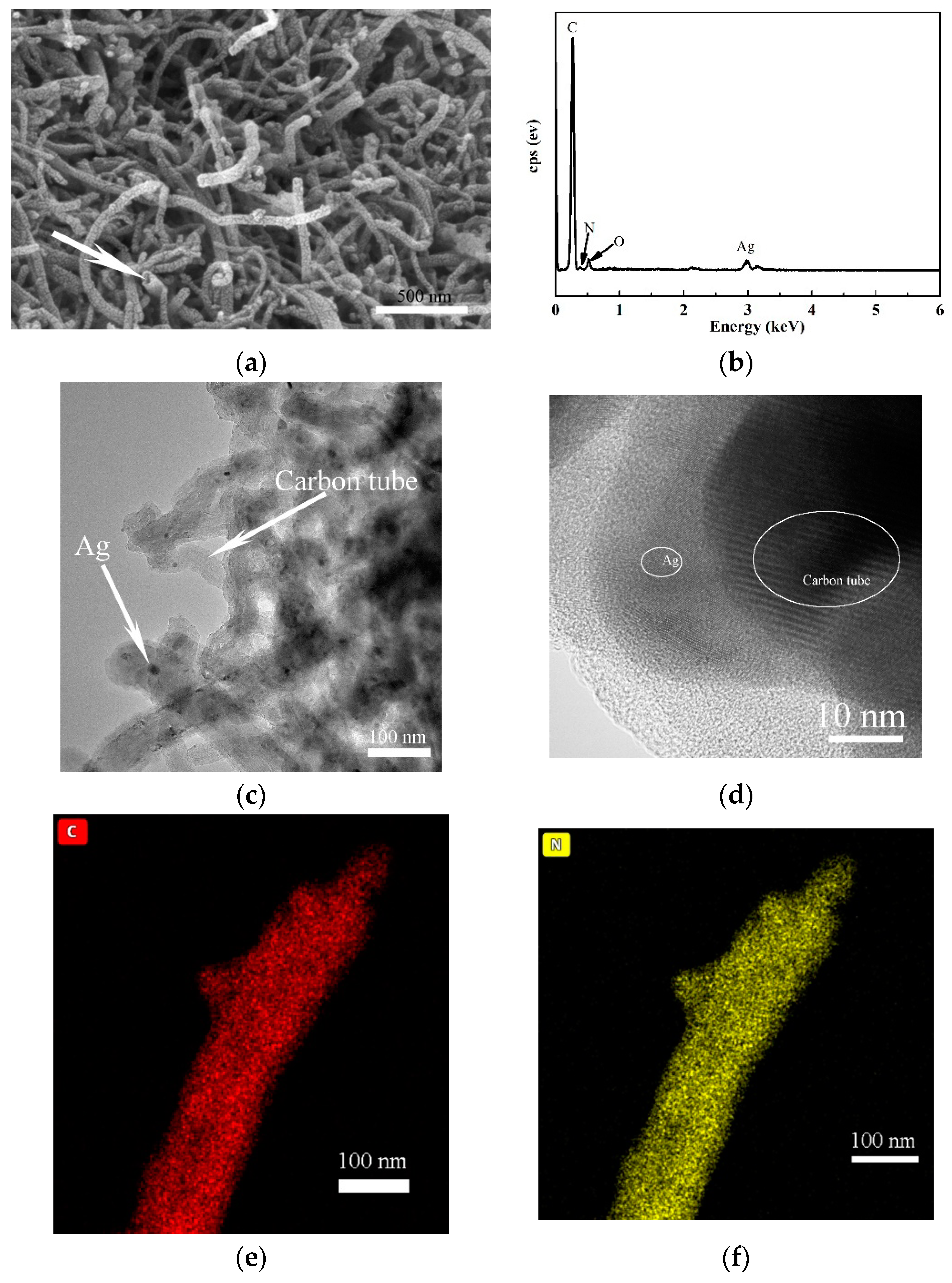 Lubricants 11 00443 g001a