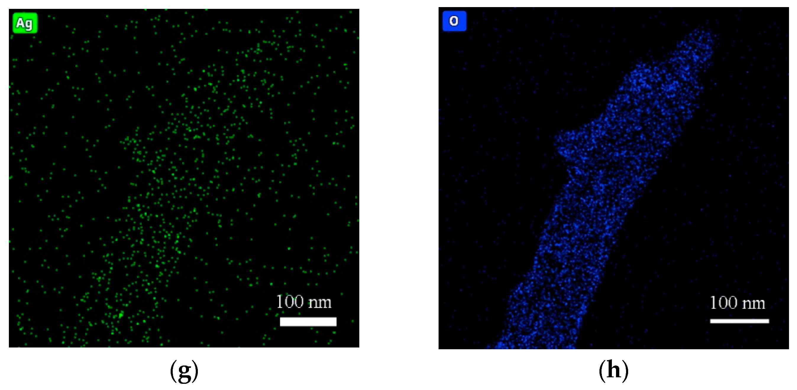 Lubricants 11 00443 g001b
