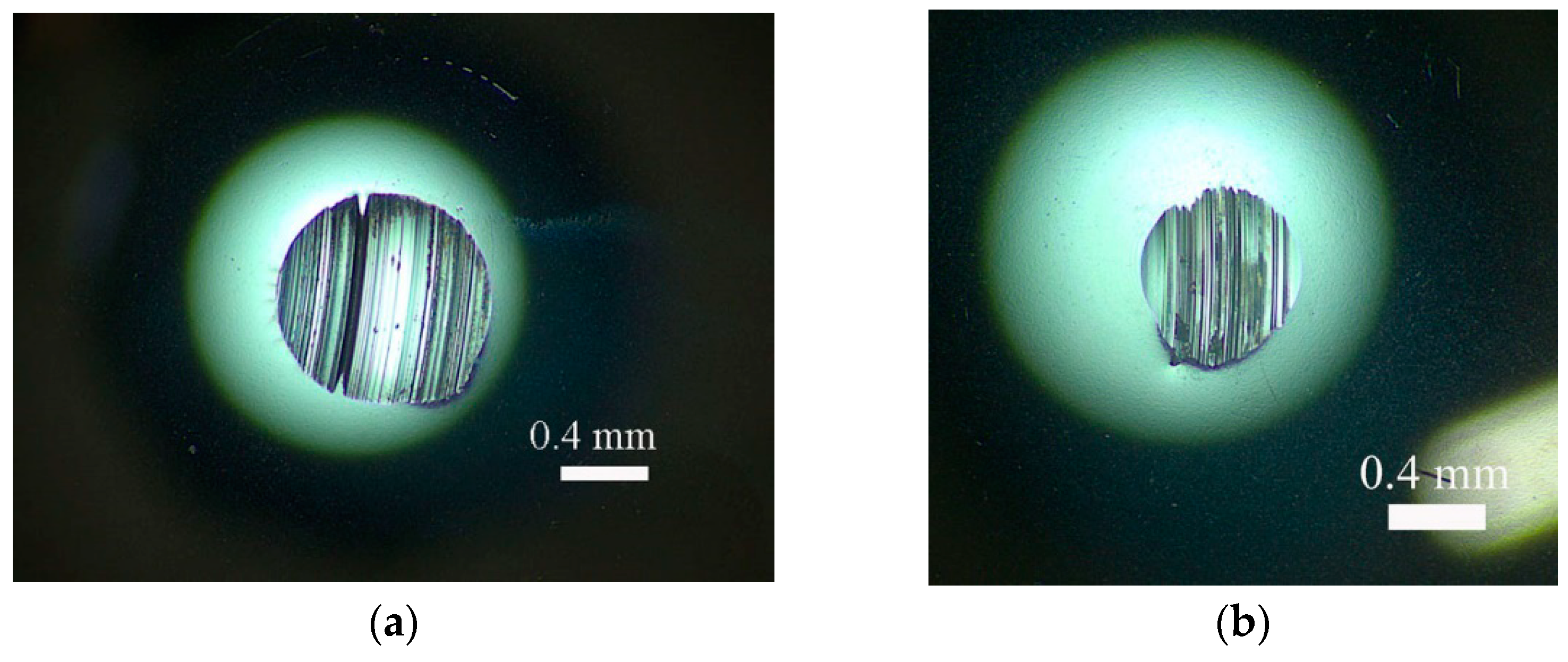 Lubricants 11 00443 g005a