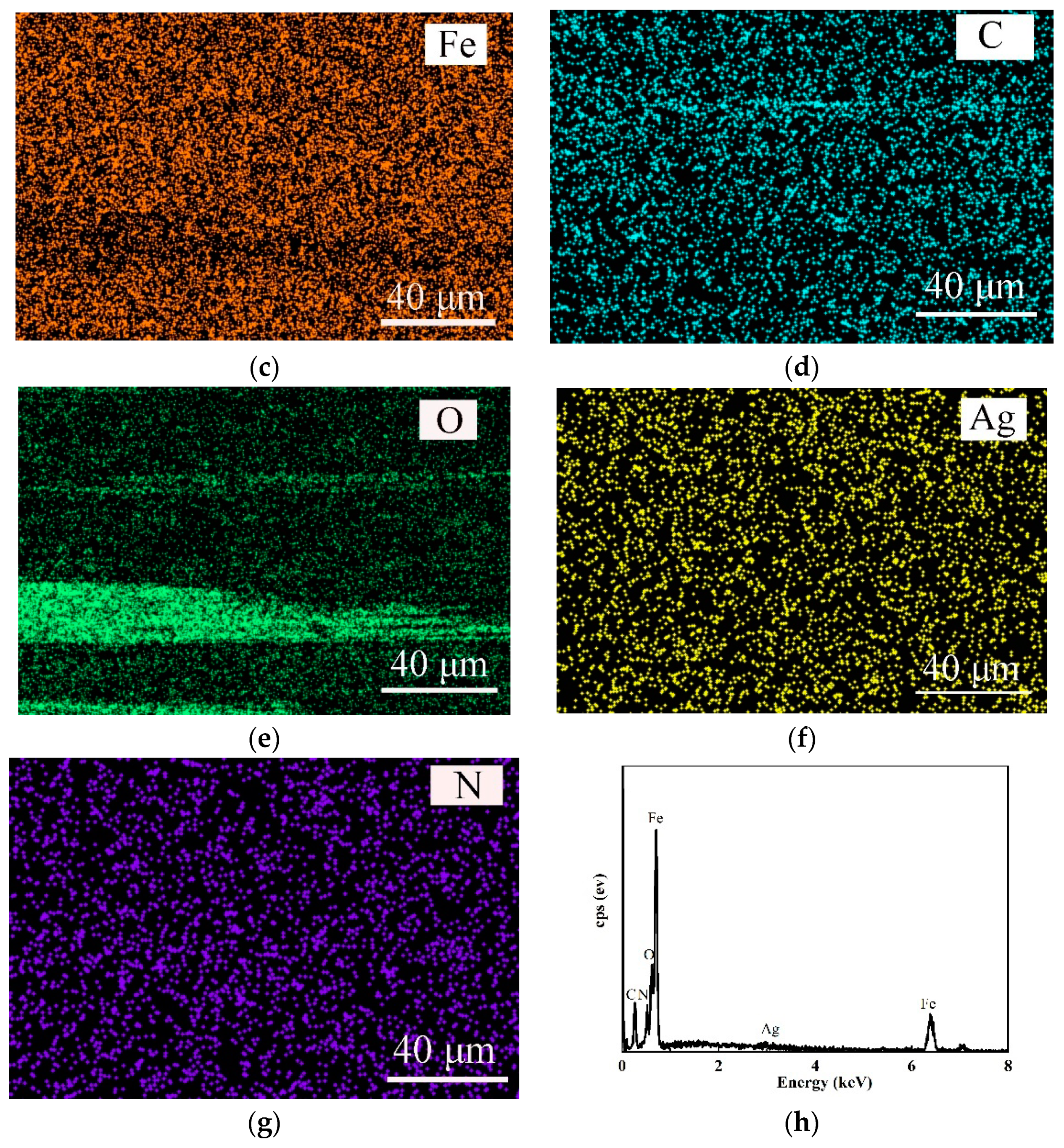 Lubricants 11 00443 g005b