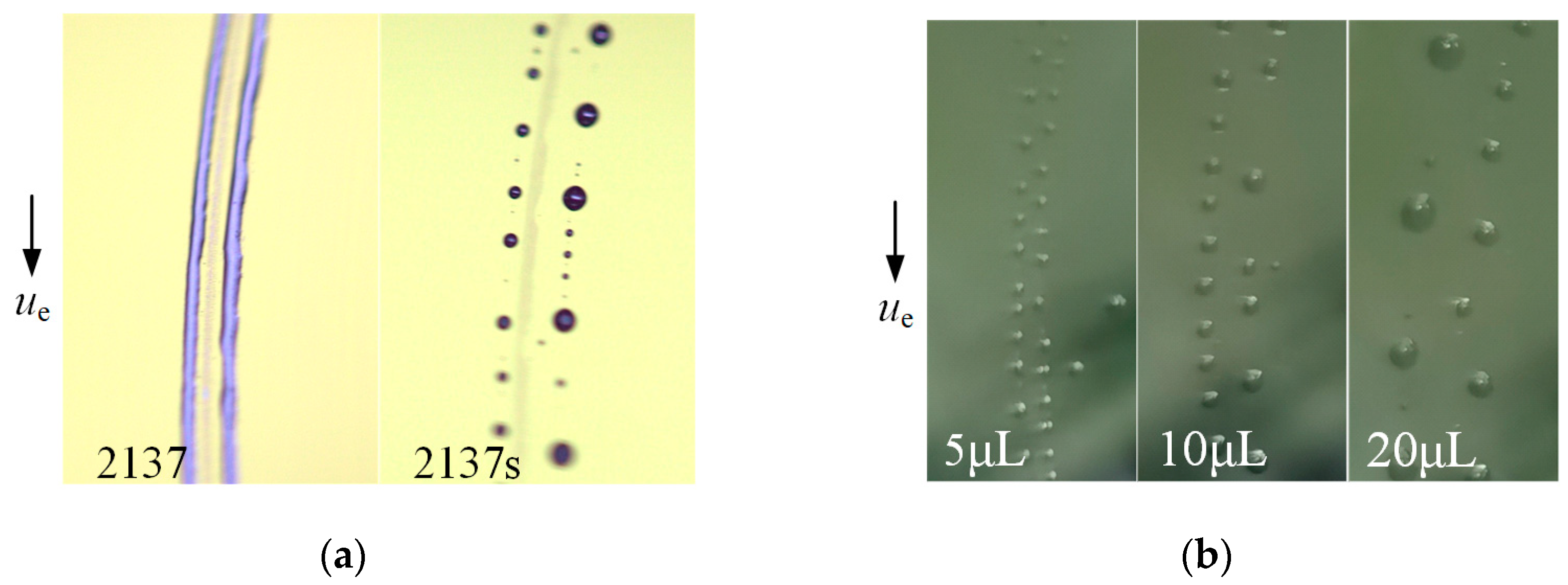 Lubricants 11 00446 g012