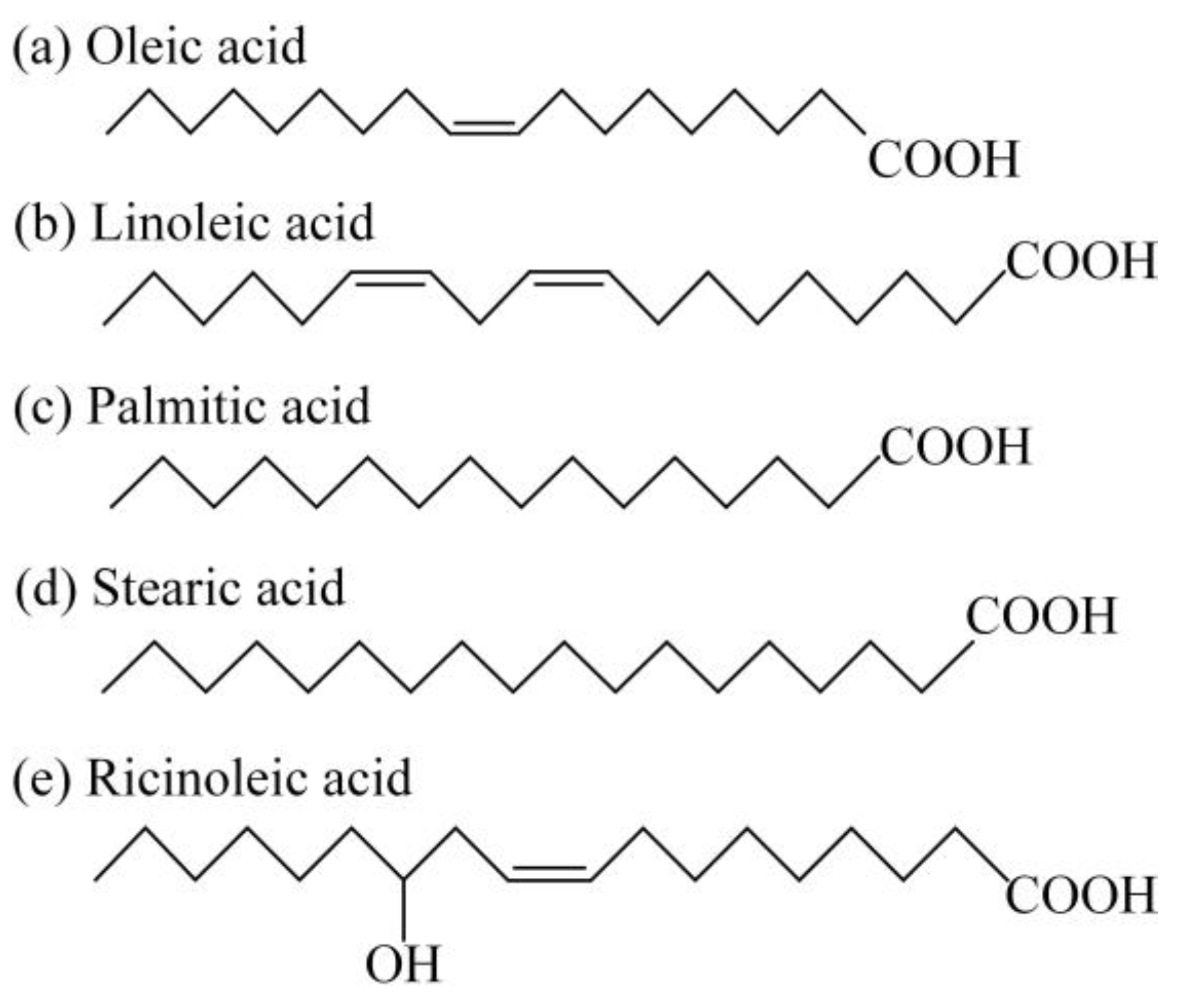 Lubricants 11 00447 g010