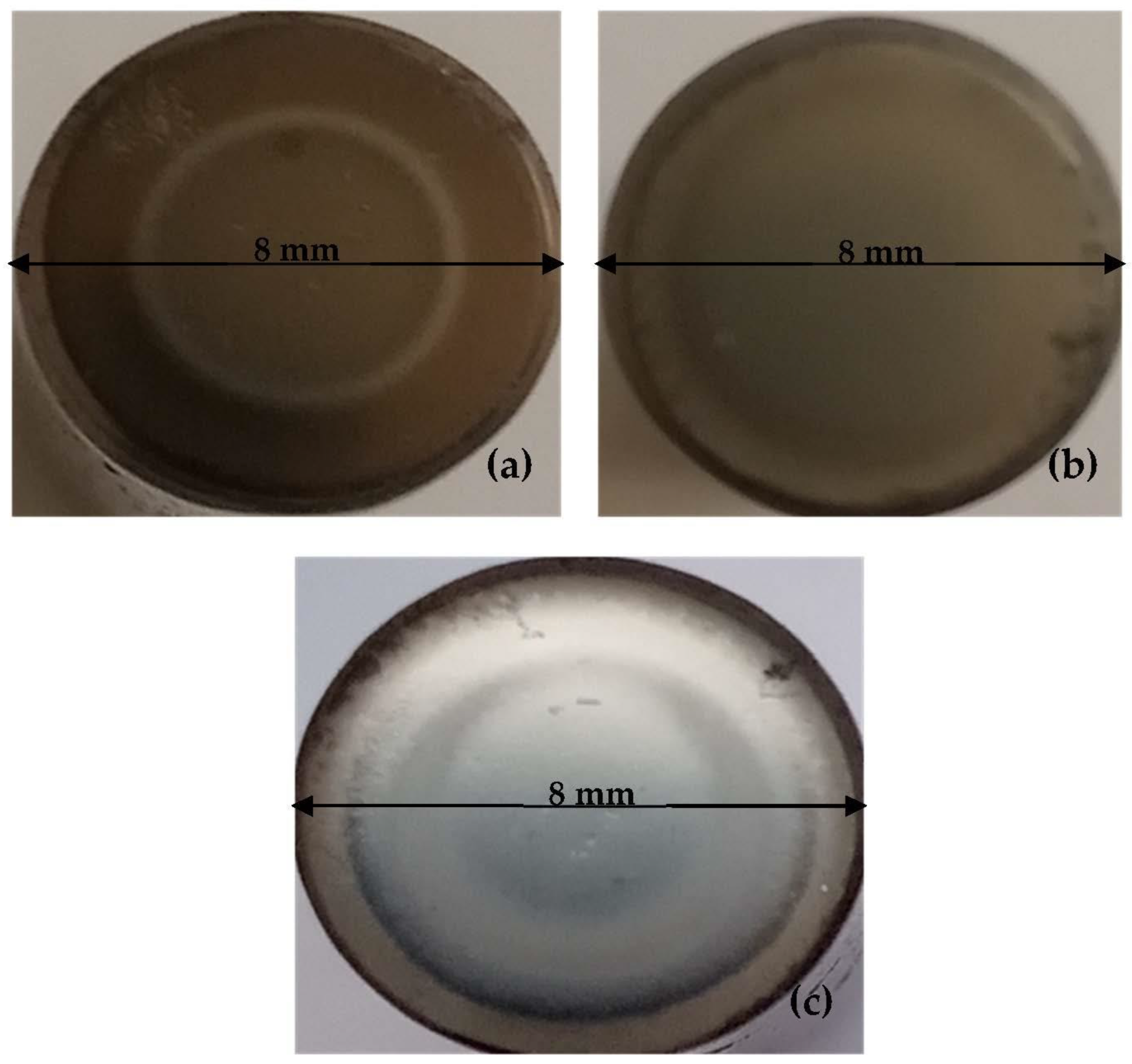 Lubricants 11 00448 g003