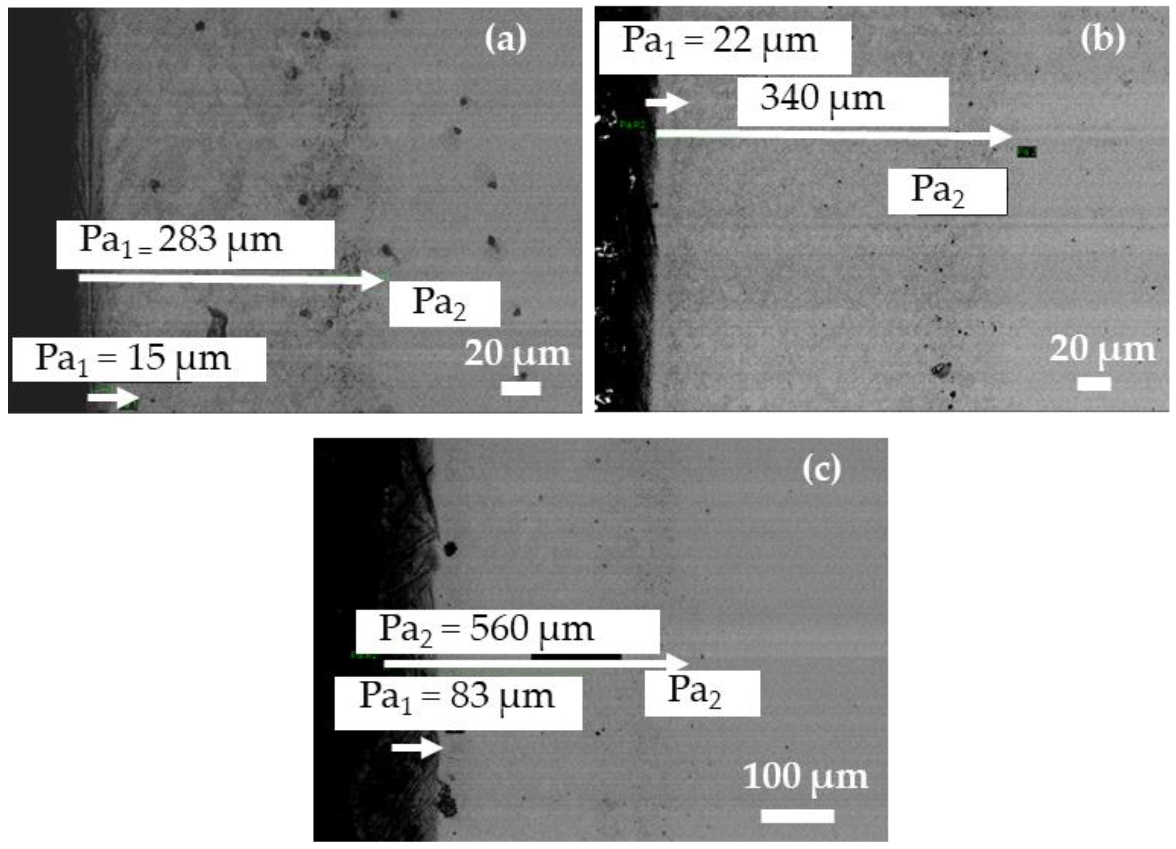 Lubricants 11 00448 g006