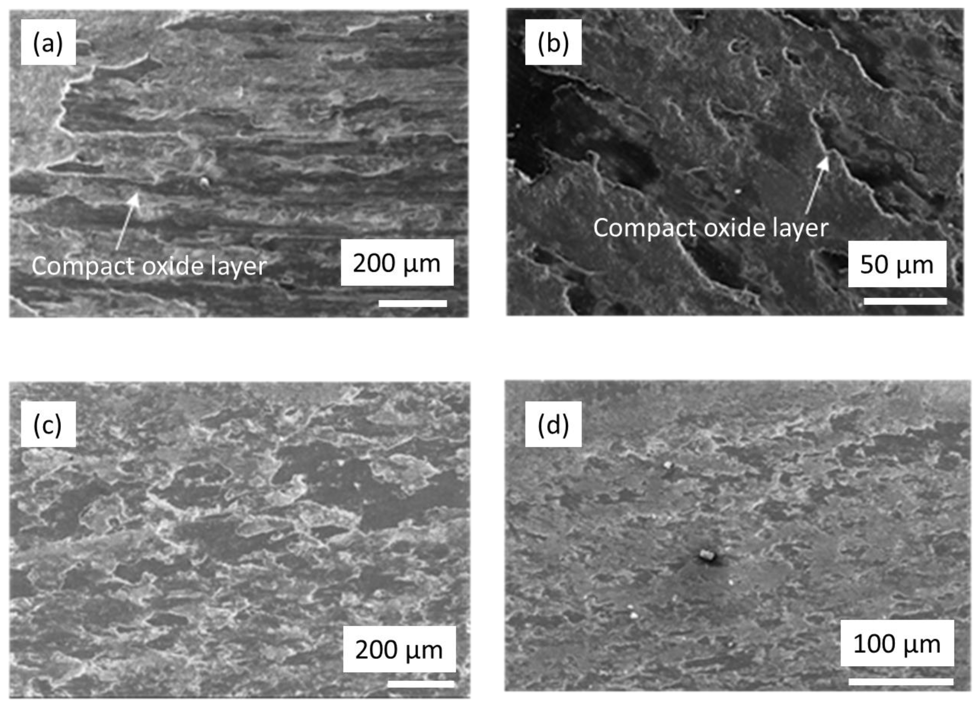 Lubricants 11 00448 g014