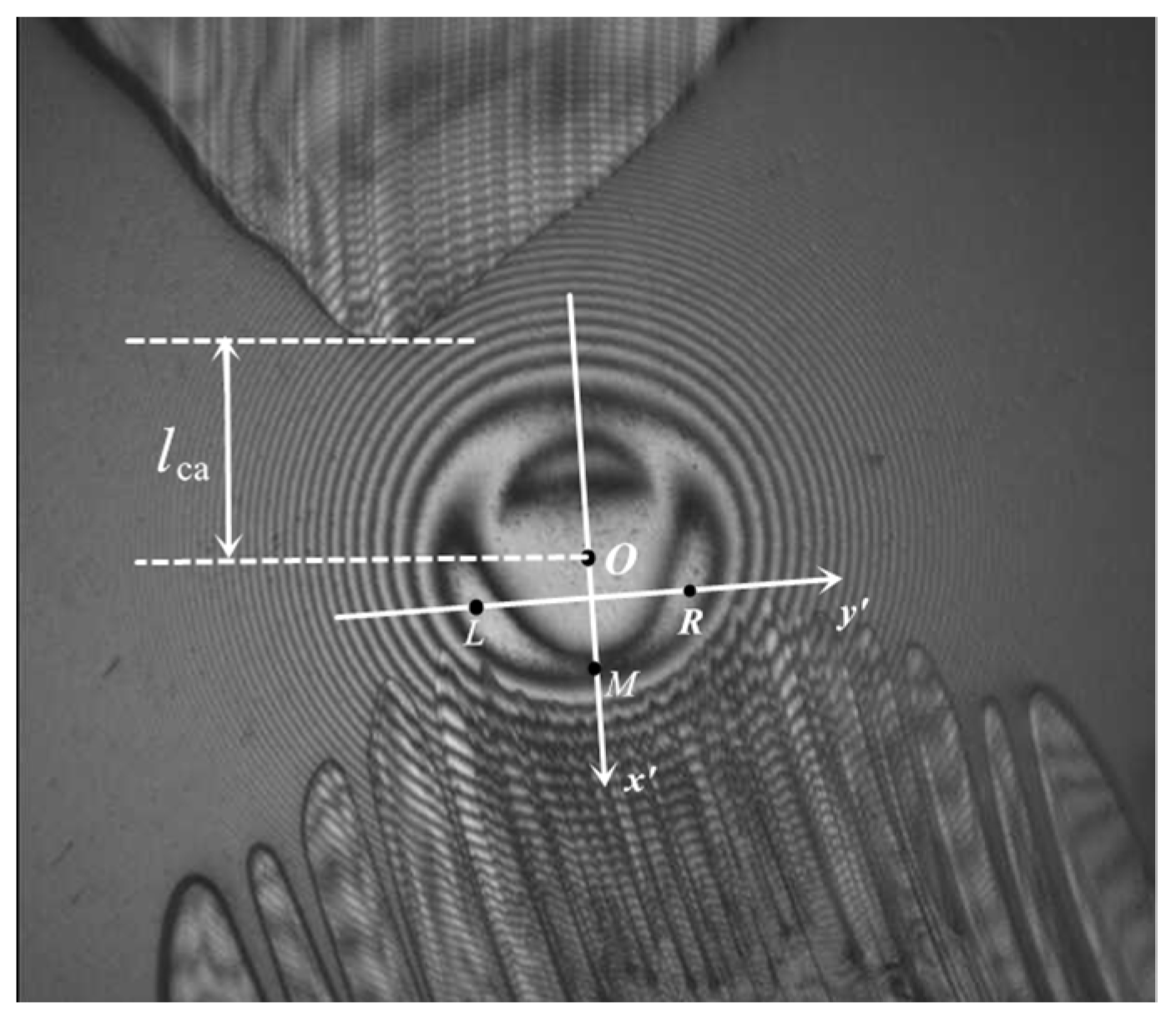 Lubricants 11 00451 g005