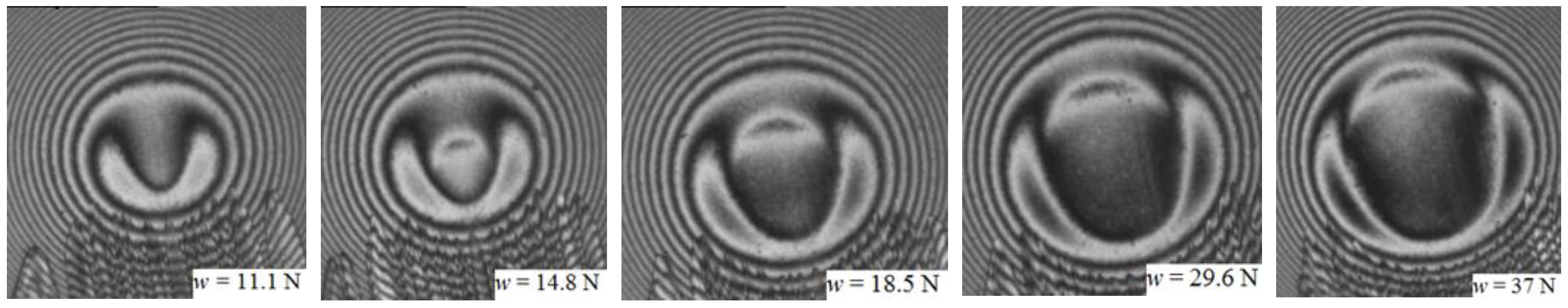 Lubricants 11 00451 g008