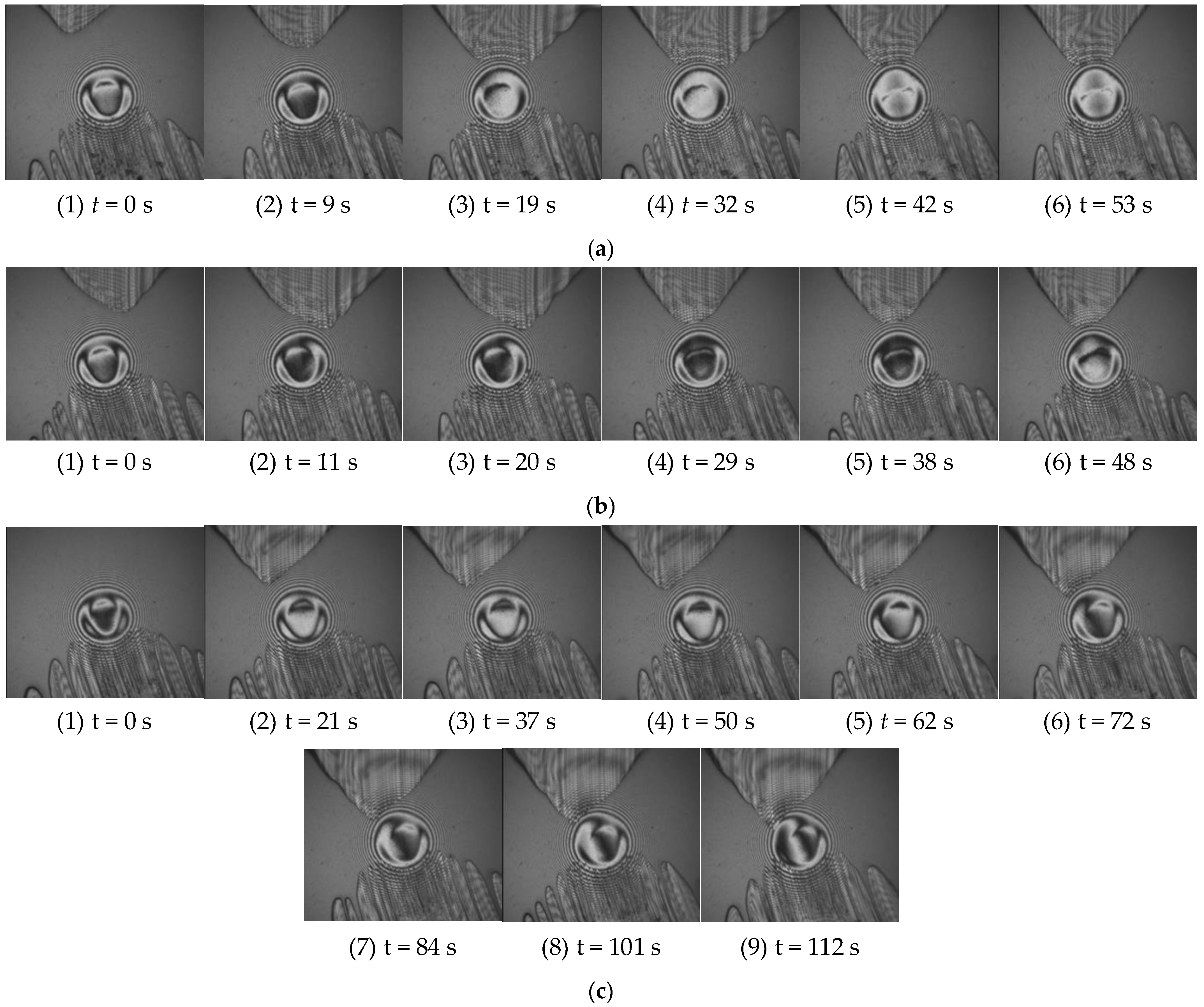 Lubricants 11 00451 g012