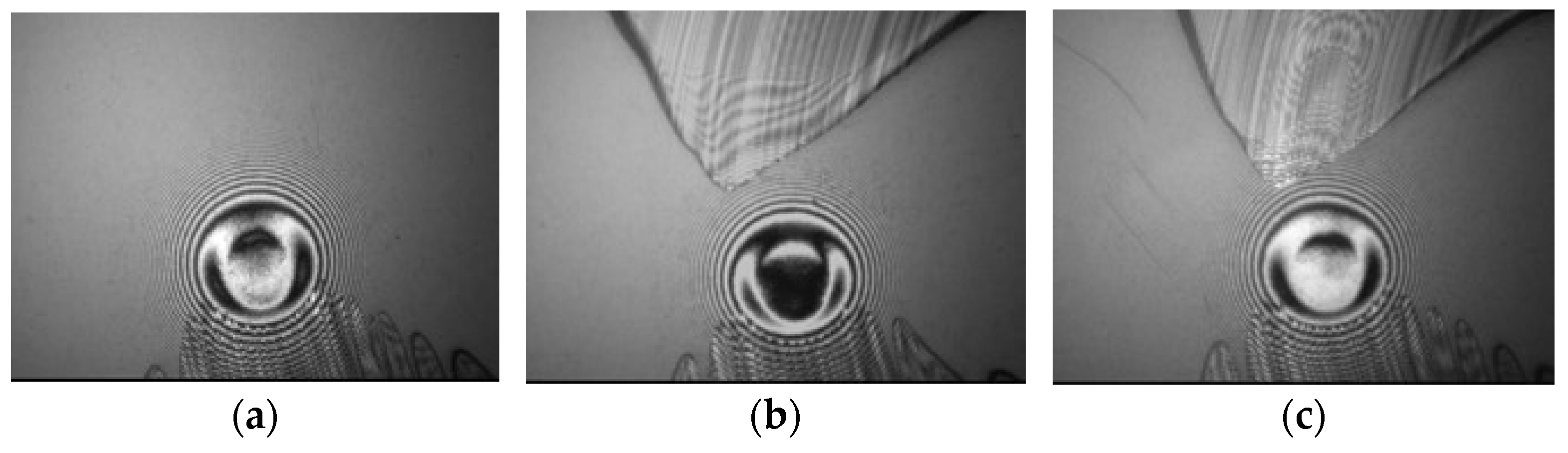 Lubricants 11 00451 g014