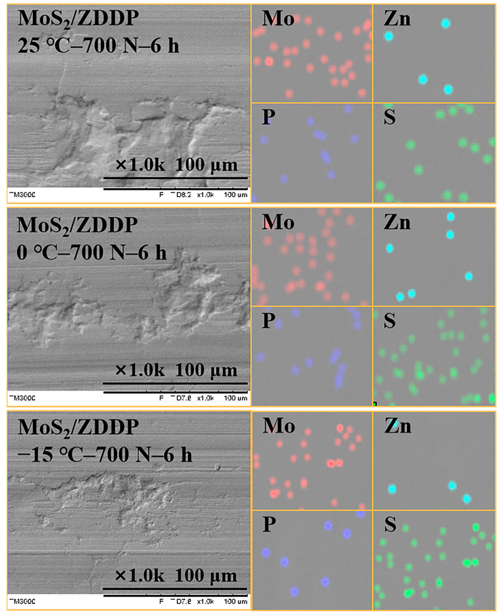 Lubricants 11 00464 g010