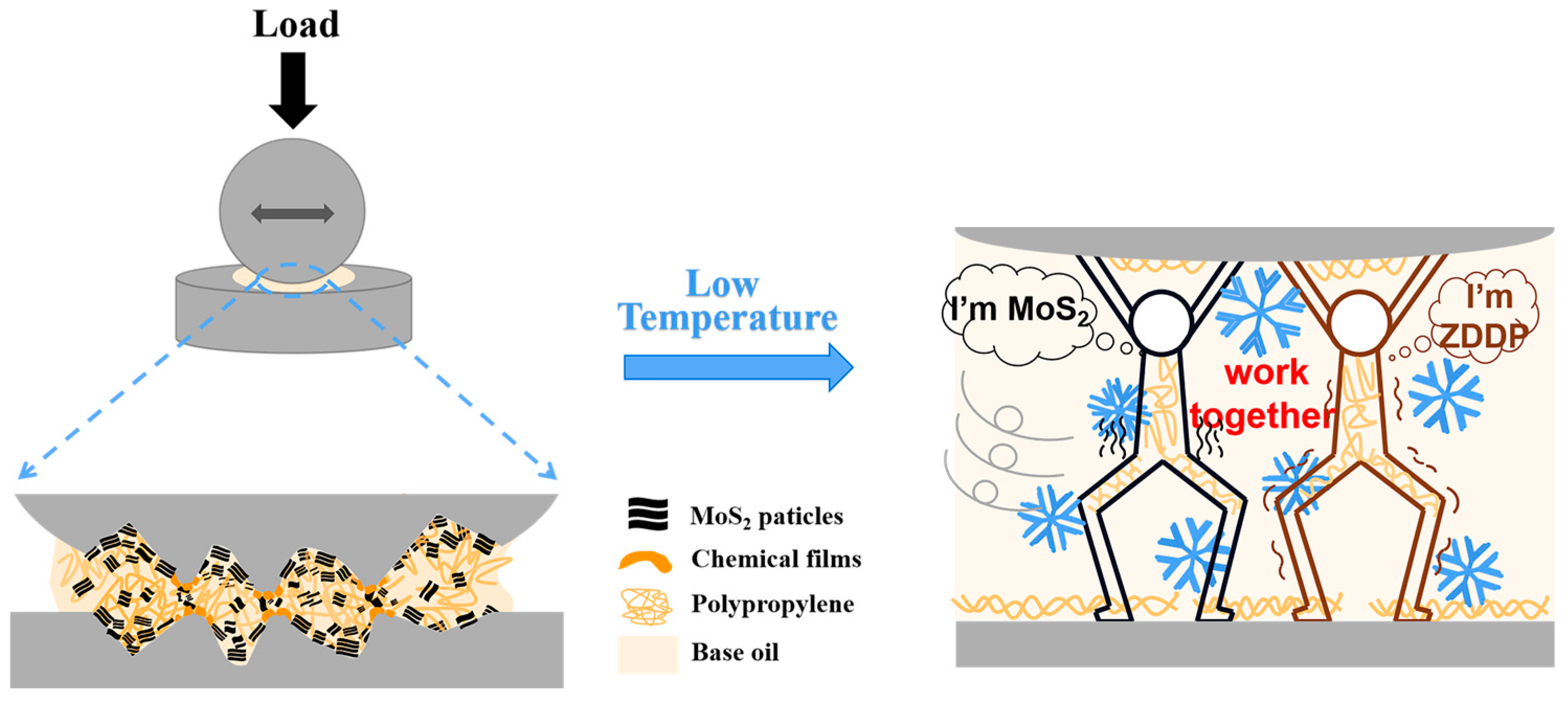Lubricants 11 00464 g016