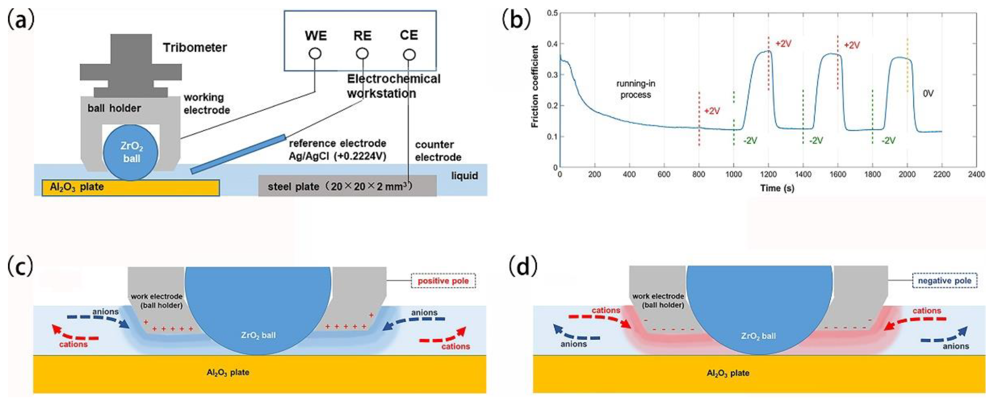 Lubricants 11 00467 g007