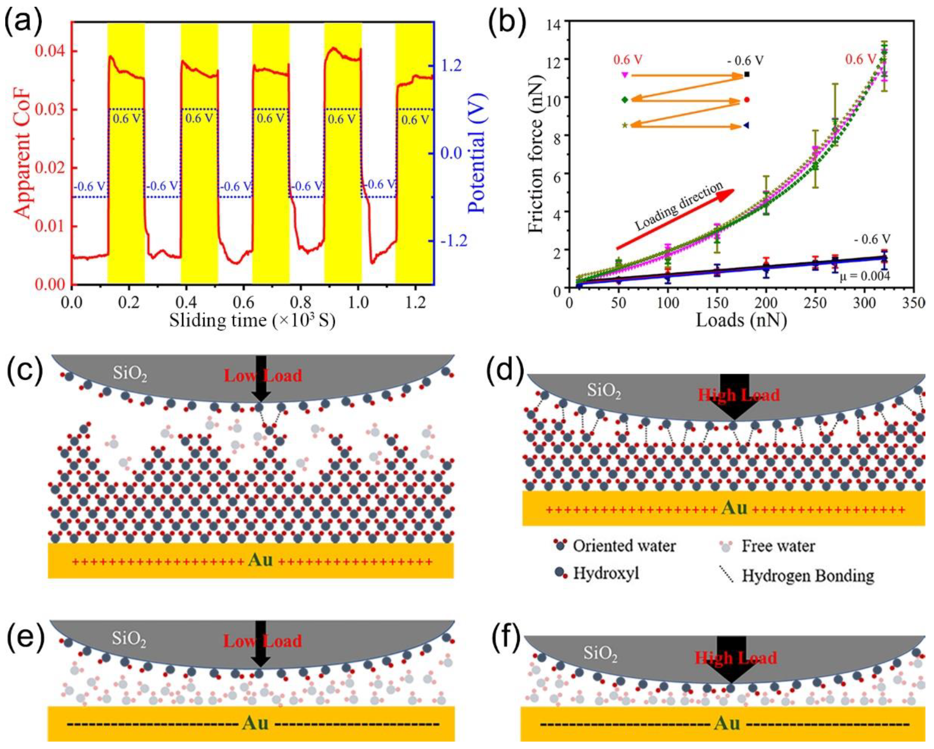 Lubricants 11 00467 g011