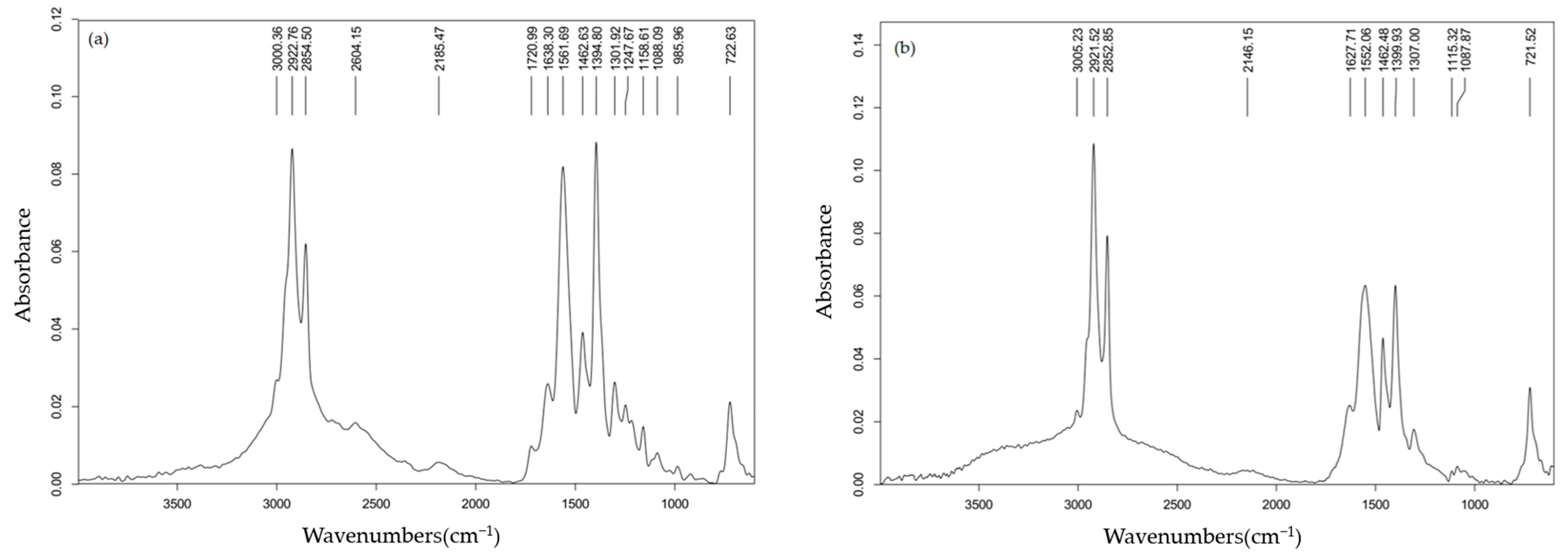 Lubricants 11 00469 g002