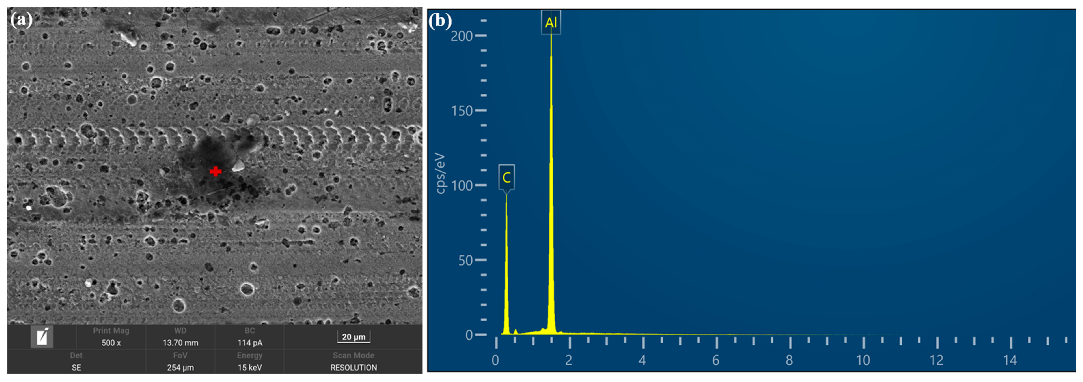 Lubricants 11 00470 g005