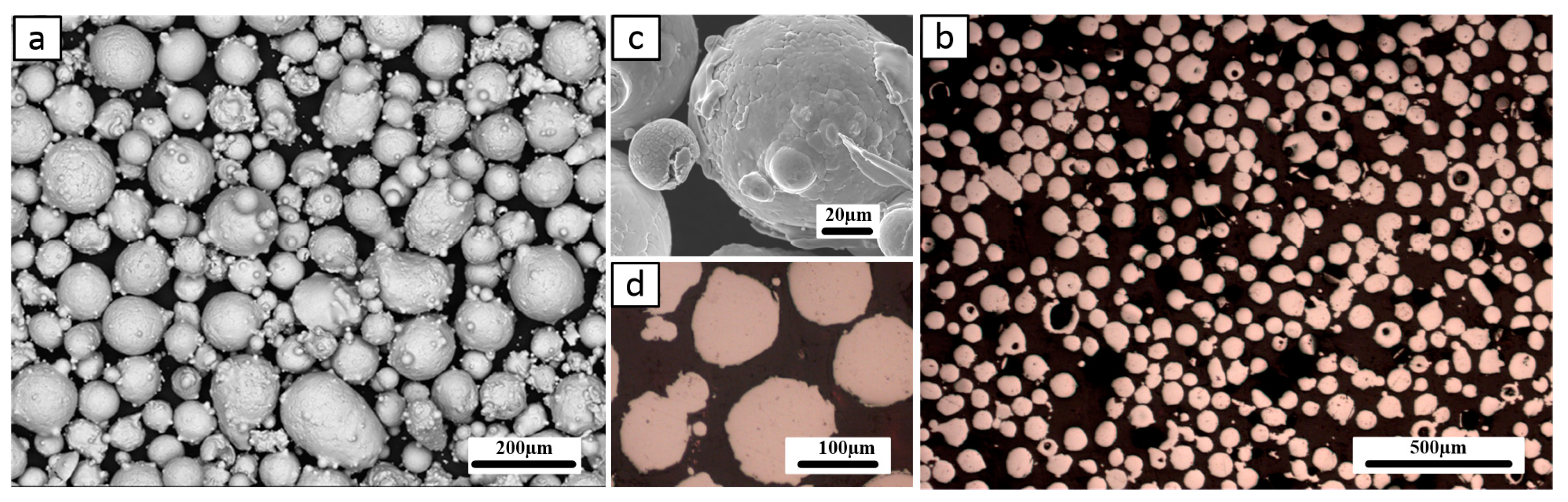 Lubricants 11 00477 g001