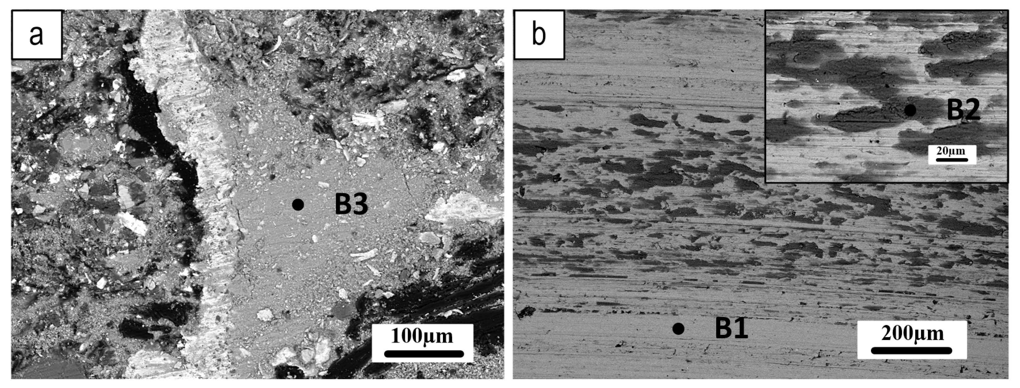 Lubricants 11 00477 g013
