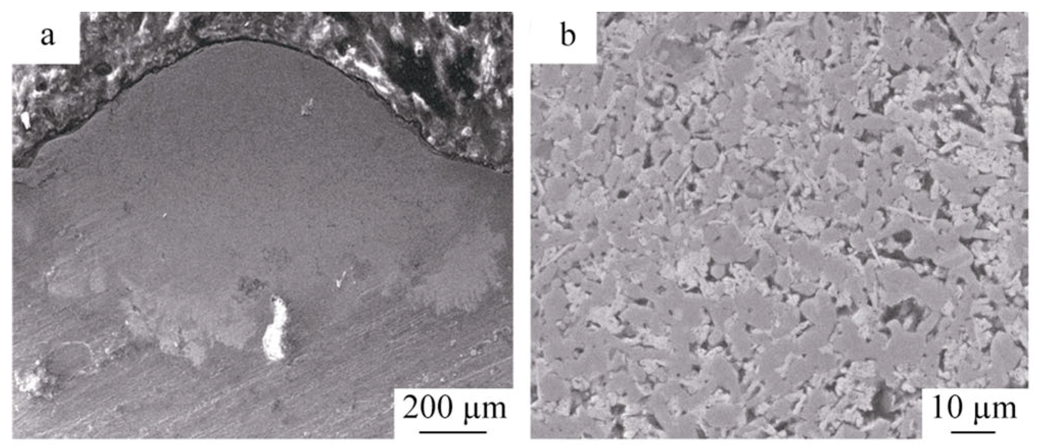 Lubricants 11 00482 g008