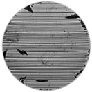 Lubricants 11 00490 i003