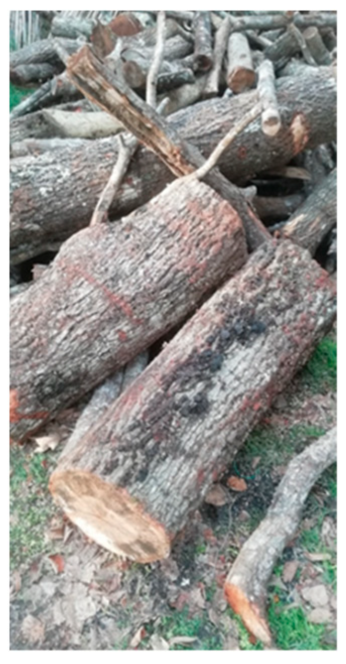 Lubricants 11 00494 g001