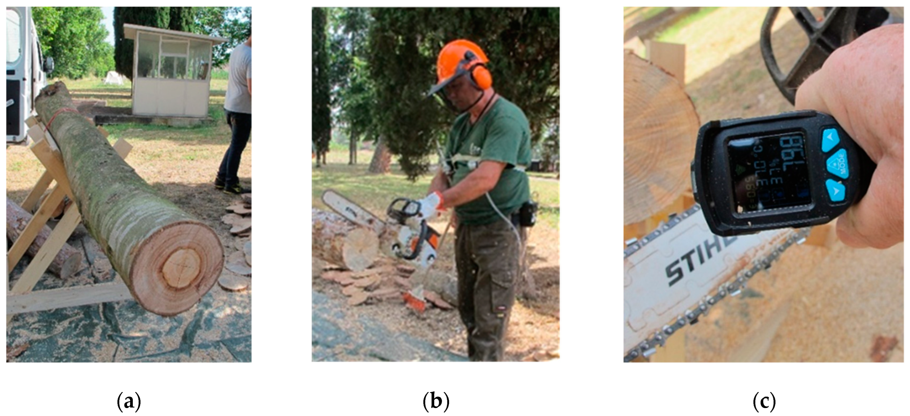 Lubricants 11 00494 g006