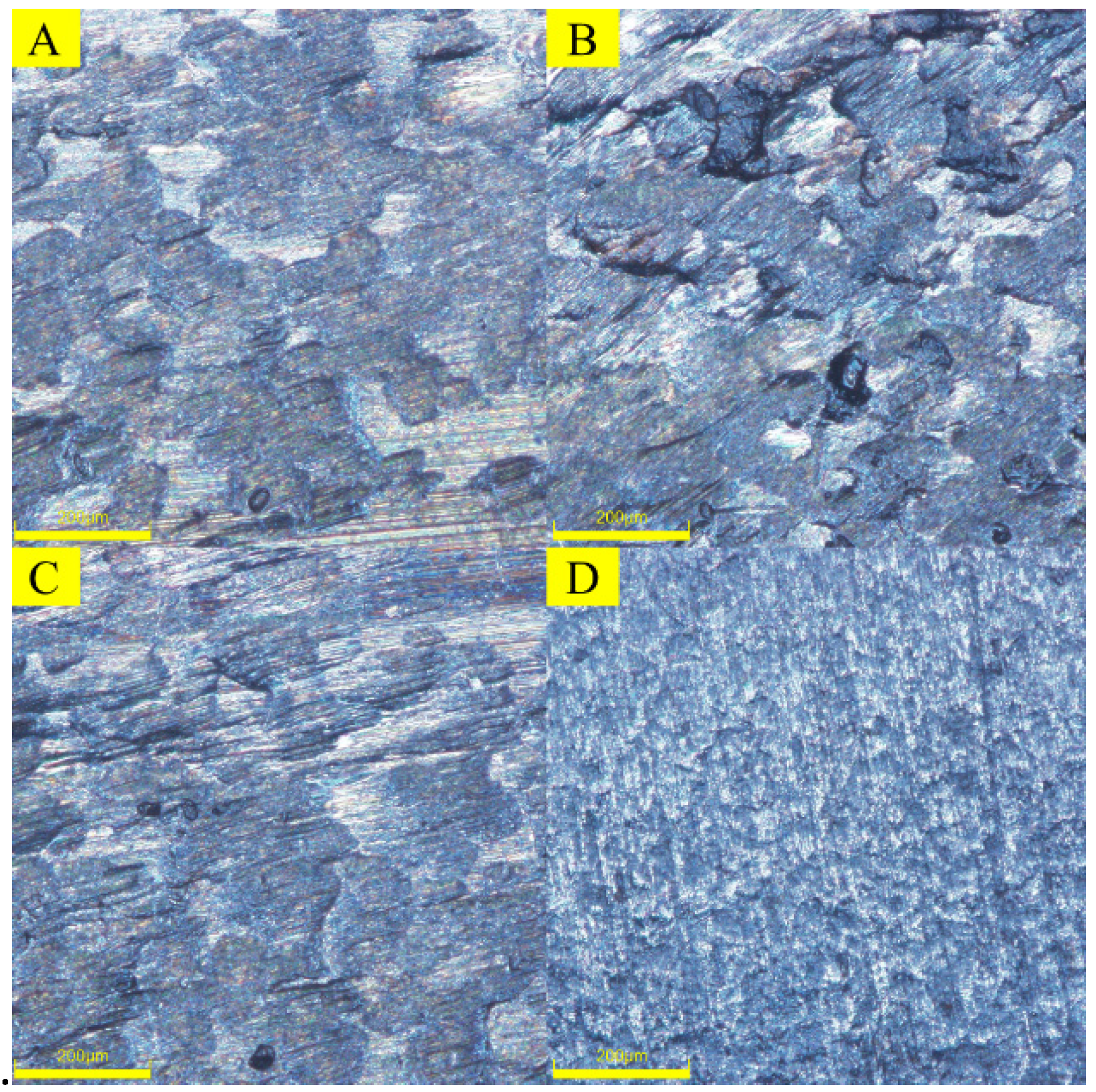 Lubricants 11 00515 g021