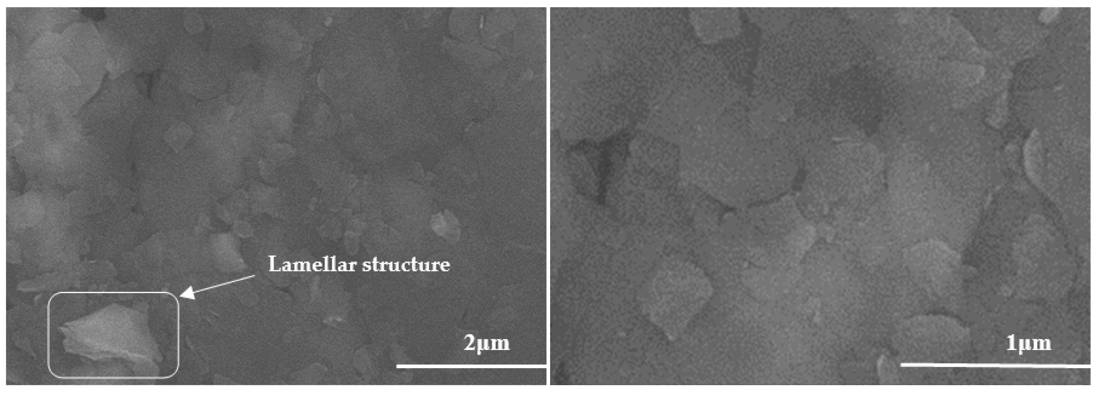 Lubricants Free FullText Study on the Influence of the MoS2