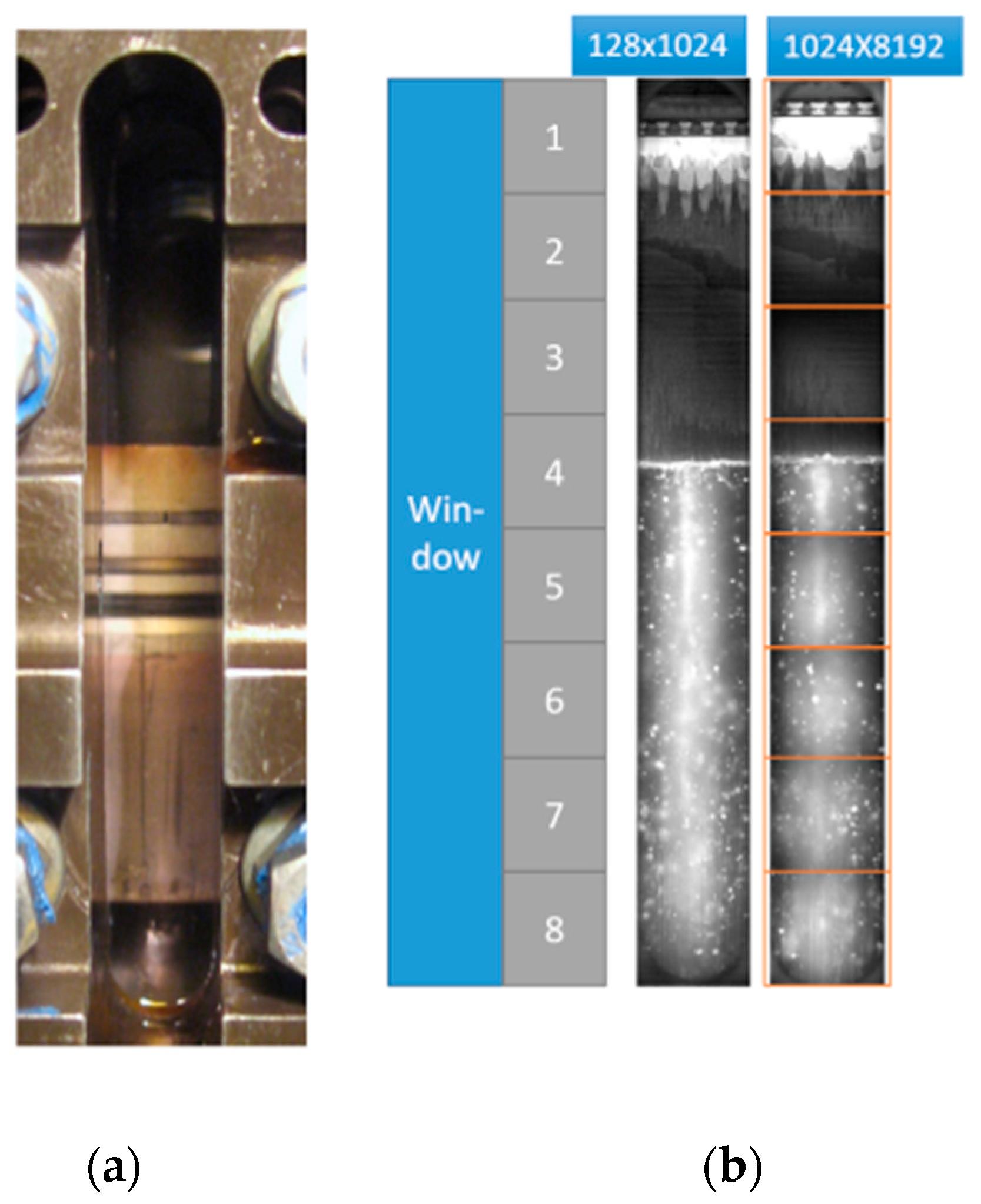Lubricants 11 00522 g002