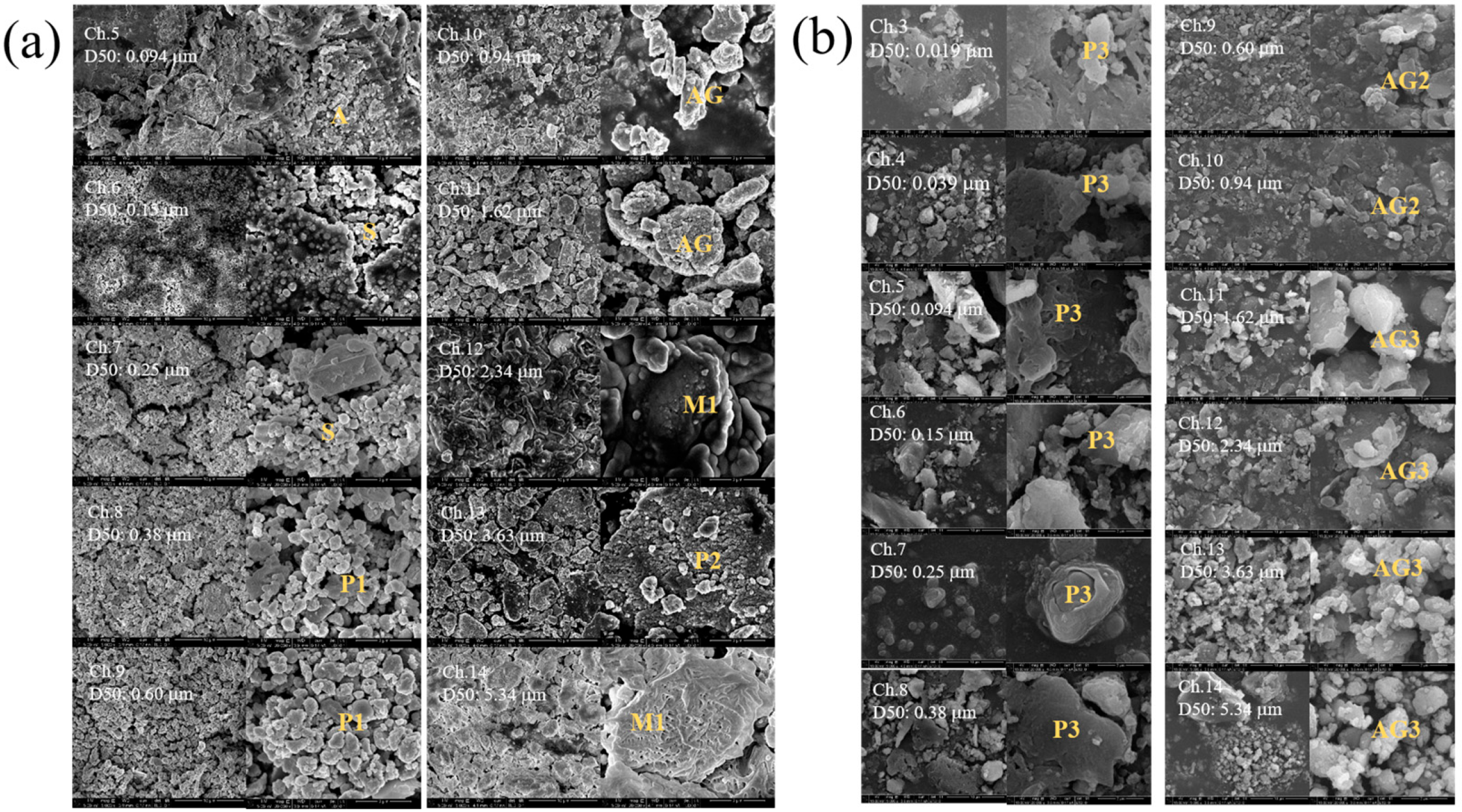 Lubricants 11 00526 g006