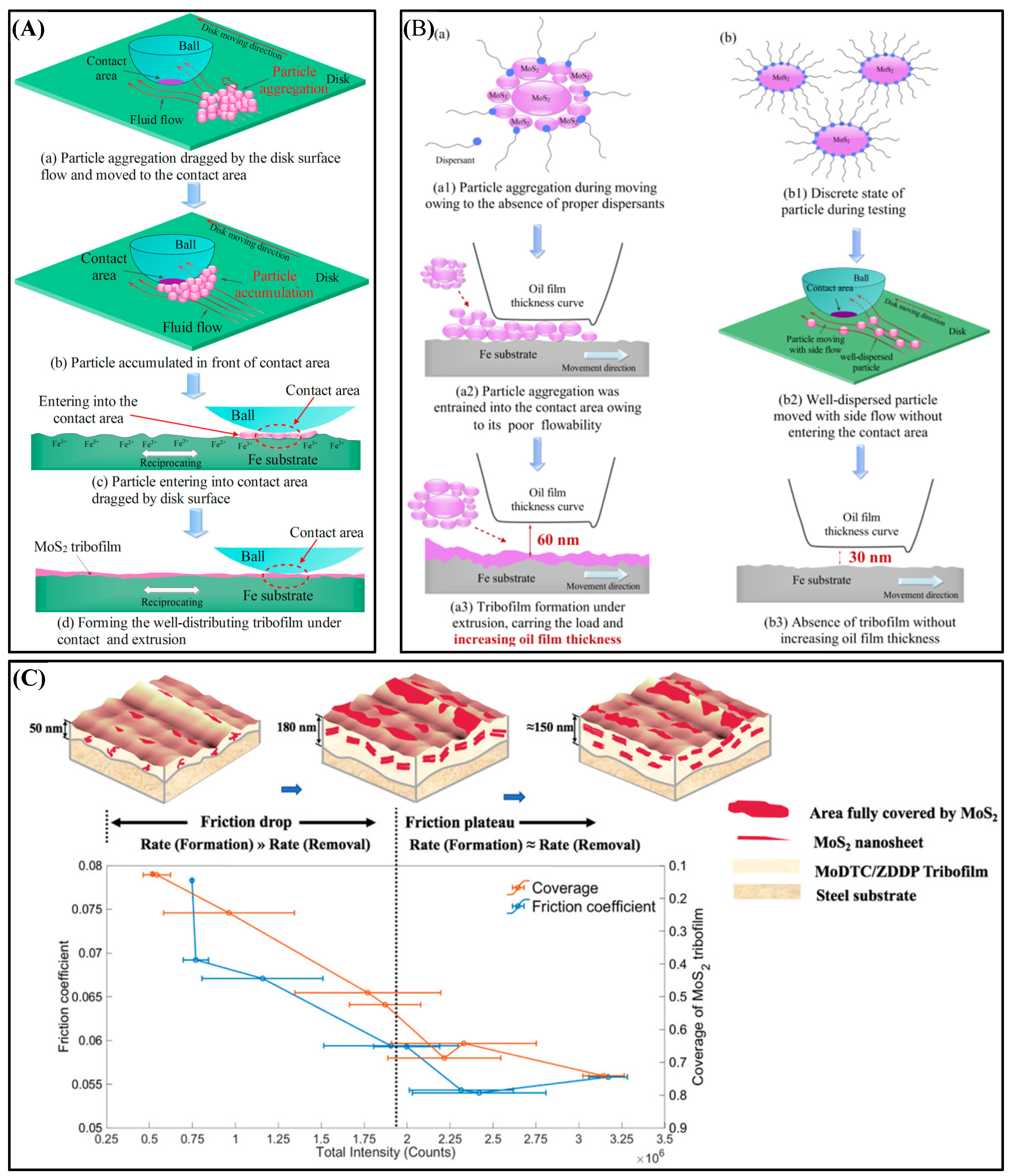 Lubricants 11 00527 g009