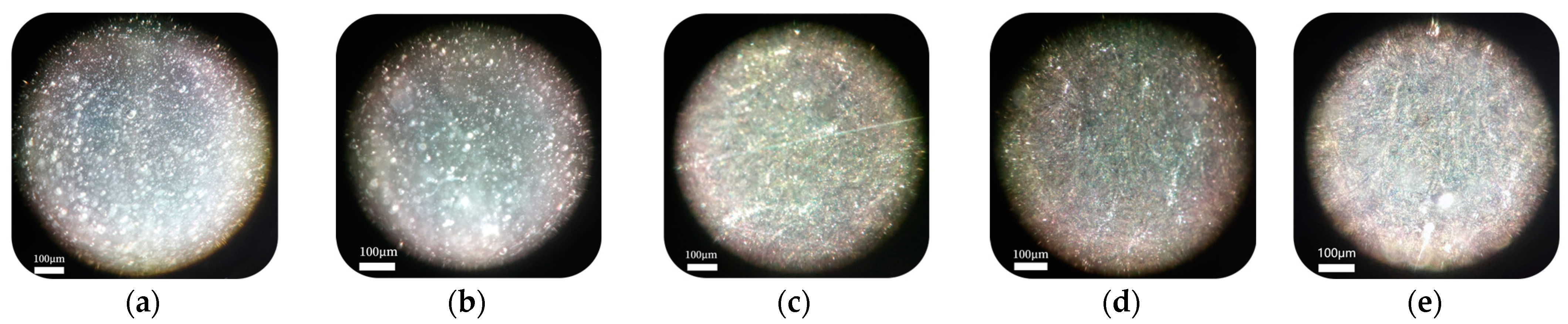 Lubricants 11 00528 g003