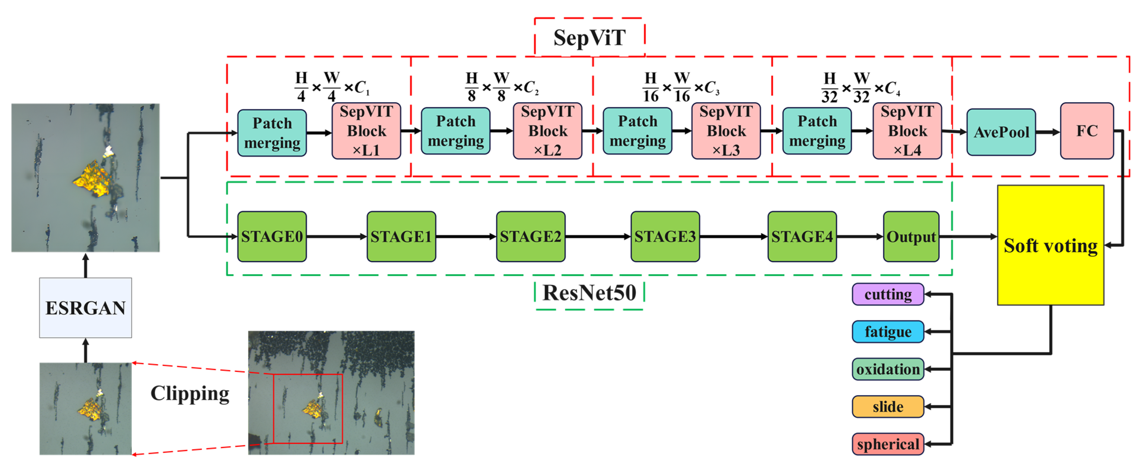Lubricants 11 00530 g001