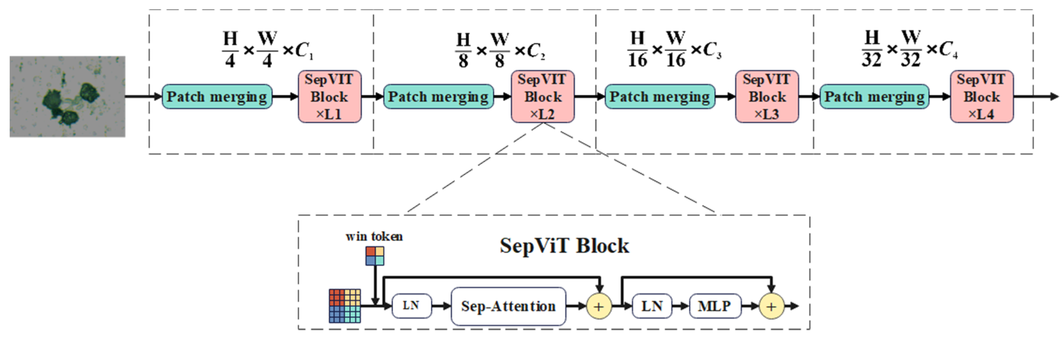 Lubricants 11 00530 g004