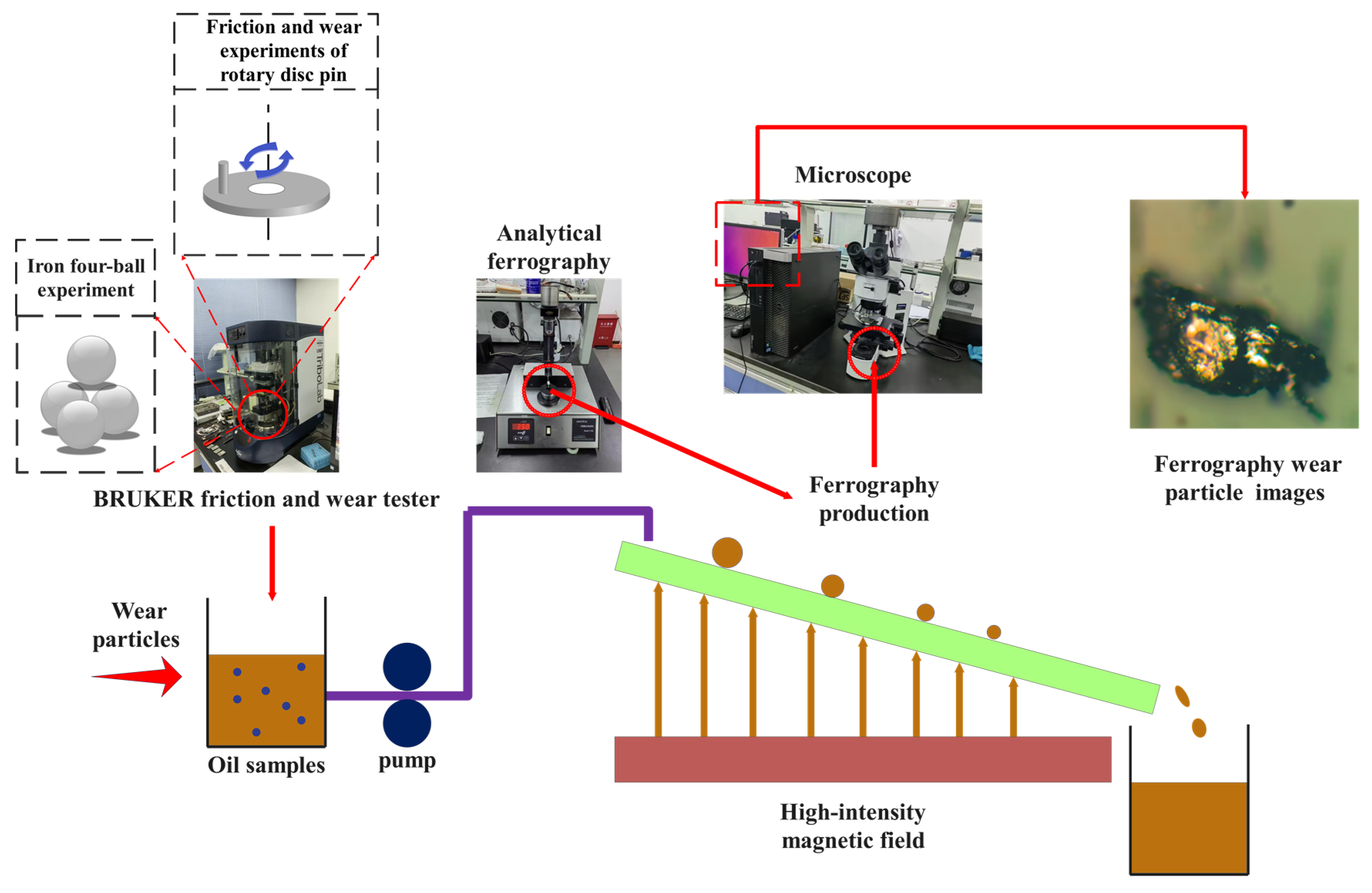 Lubricants 11 00530 g009